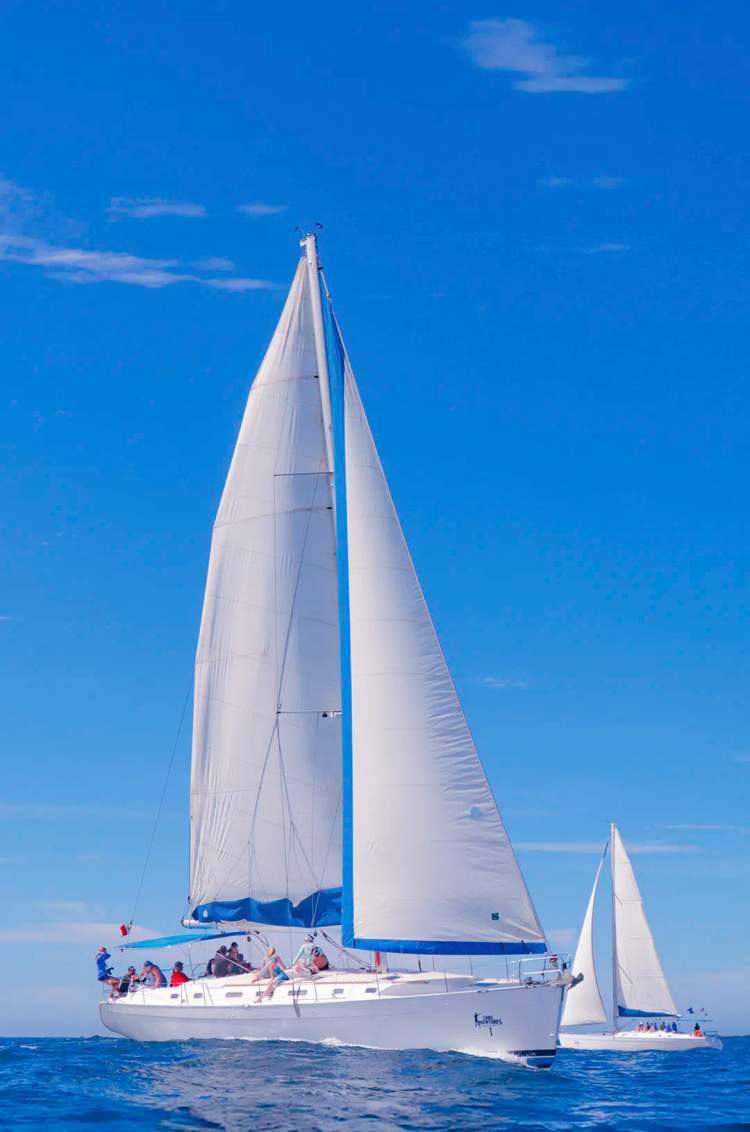 Private sailboats in Puerto Vallarta.