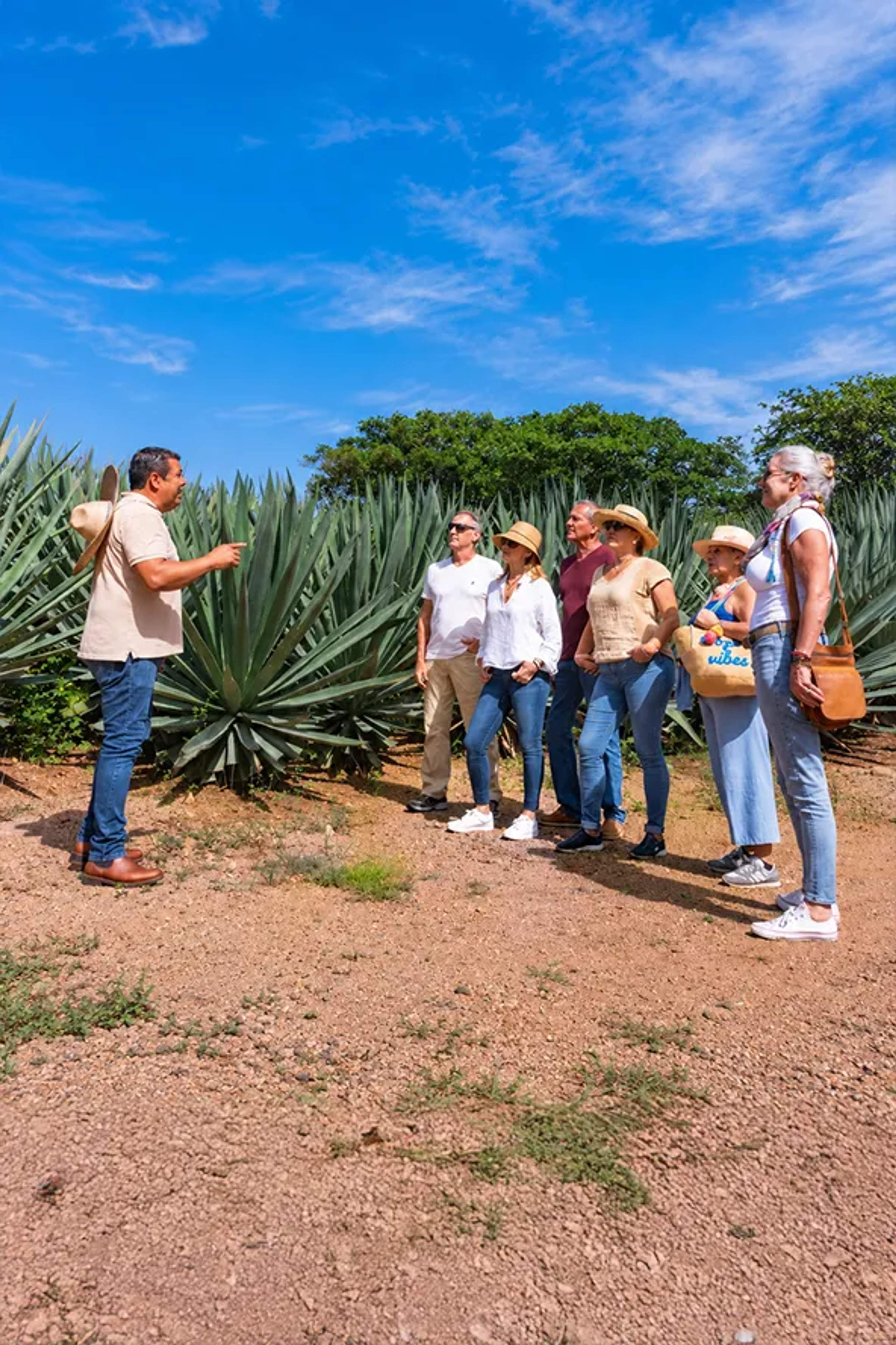 Senior travelers enjoying a guided tequila tour through blue agave fields near Puerto Vallarta, Mexico.