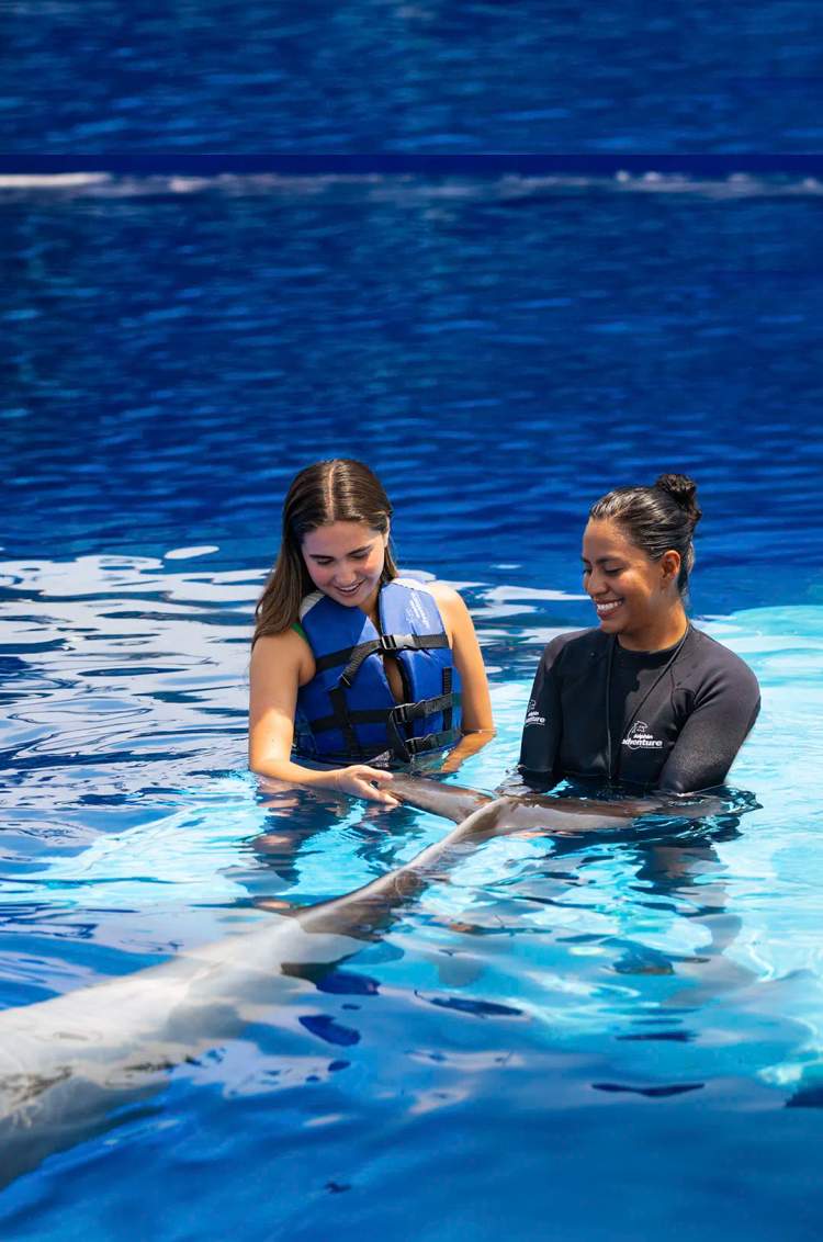 Chica aprendiendo sobre delfines en una interesante sesión educativa.