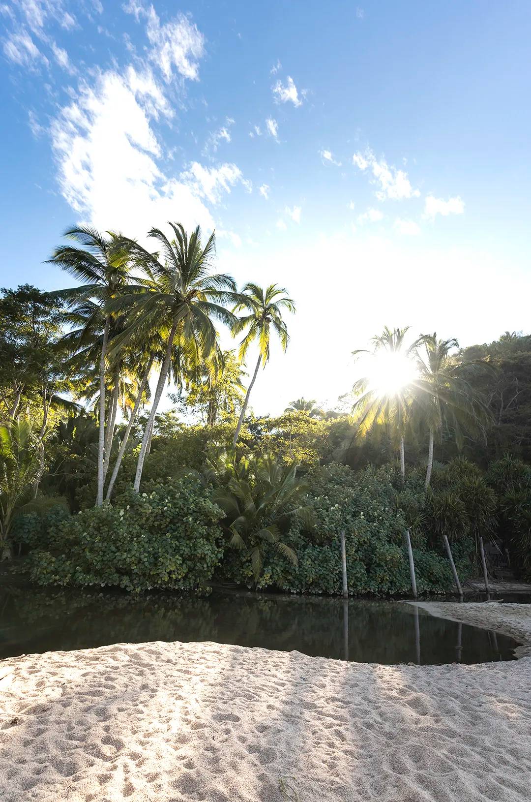 Vista idílica de un río calmado en medio de la vegetación tropical de Majahuitas.
