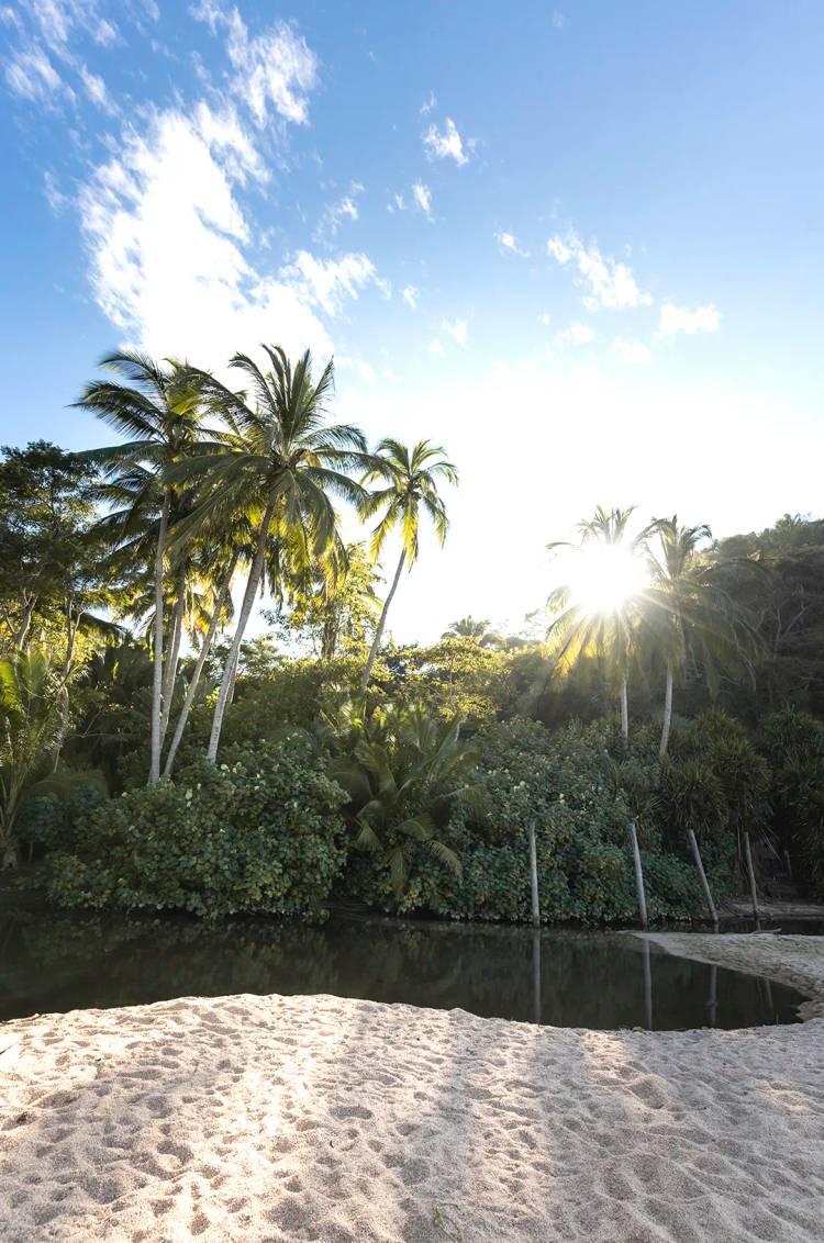 Idyllic view of a calm river amidst tropical vegetation at Majahuitas.