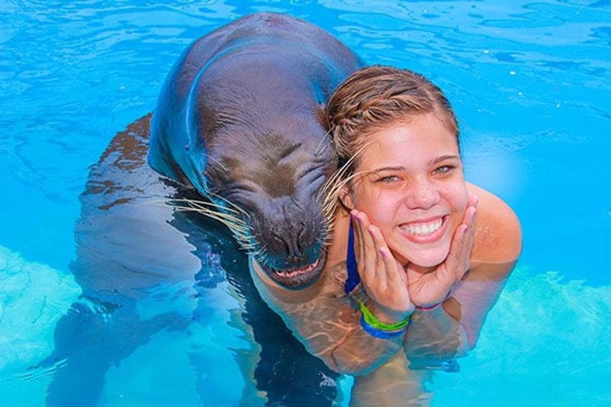 **Inglés:** A girl in a red swimsuit hugs a sea lion during an encounter, both in a pool, showcasing the fun experience in Puerto Vallarta. **Español:** Una niña en traje de baño rojo abraza a un león marino durante un encuentro, ambos en una piscina, mostrando la divertida experiencia en Puerto Vallarta.