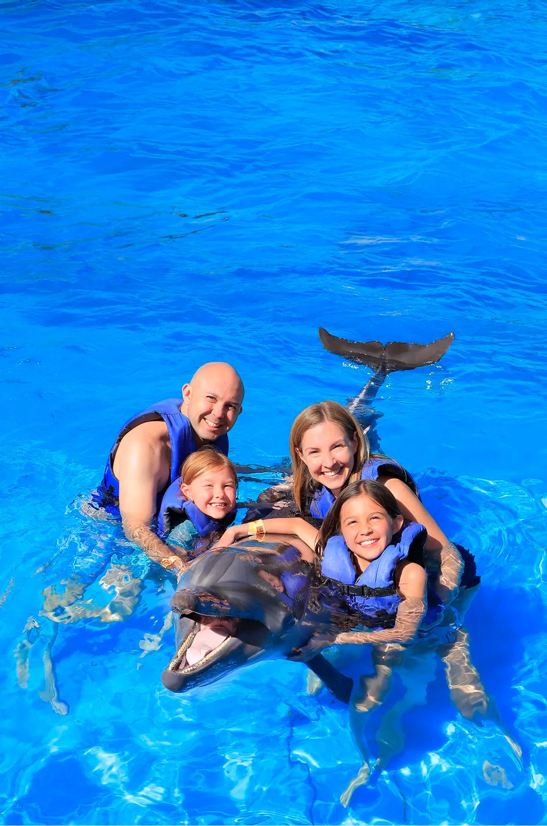 Familia en un Nado con Delfines en Privado en Puerto Vallarta.