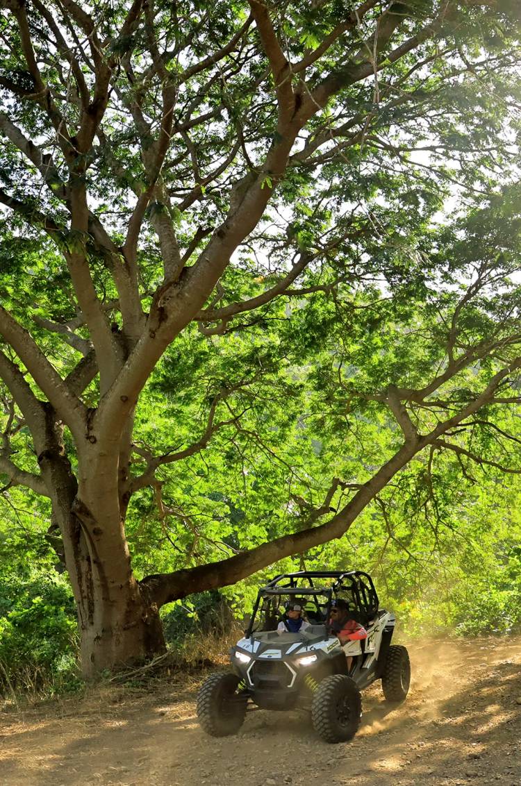 Polaris RZR ATV atravesando una ruta de terracería y una densa selva tropical cerca de Sayulita, México.