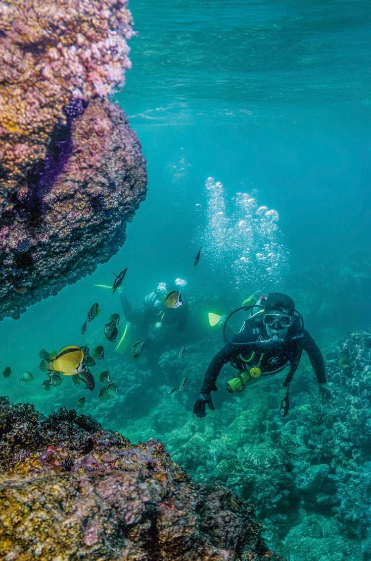Rock diving, exclusive to Certified Divers, at Chimo Puerto Vallarta.