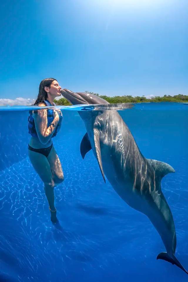Woman having fun with dolphins in Puerto Vallarta.