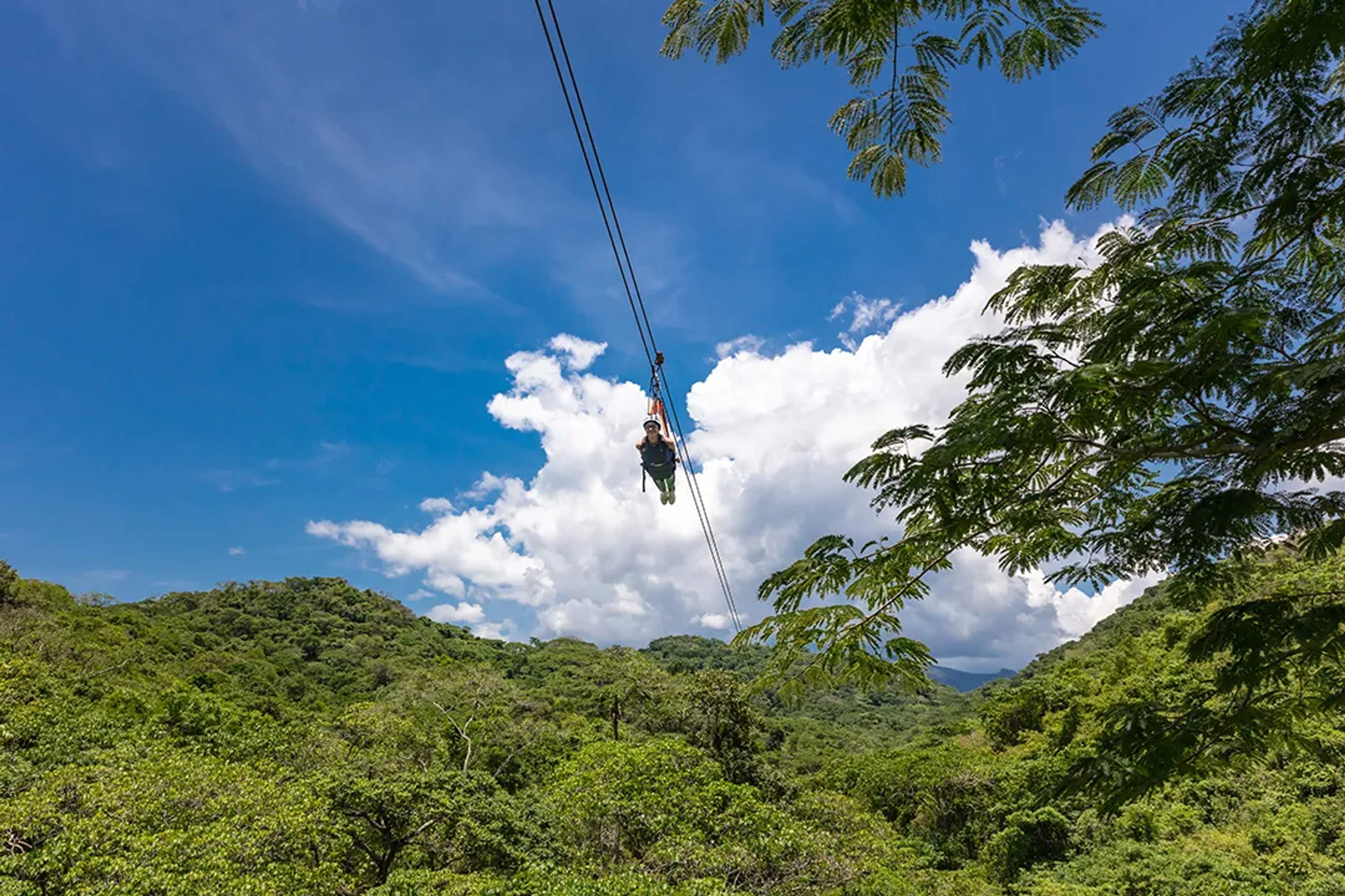 Aventura en tirolesa sobre la exuberante selva de Puerto Vallarta bajo un cielo azul brillante.