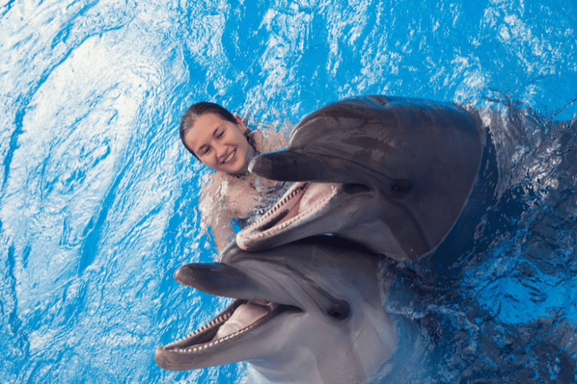 Una mujer sonriendo mientras nada con dos delfines en una piscina azul brillante. Los delfines tienen la boca abierta mientras nadan junto a ella.