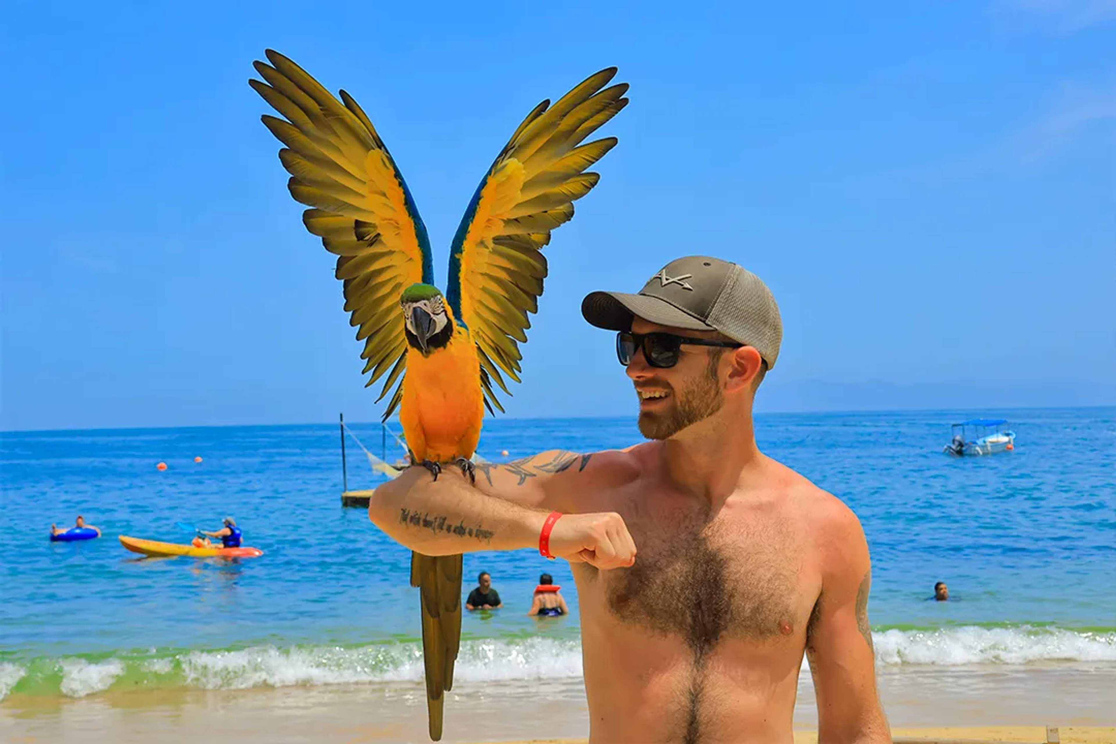 Visitante con una guacamaya azul y amarilla en una playa tropical durante una experiencia en Las Caletas, Puerto Vallarta