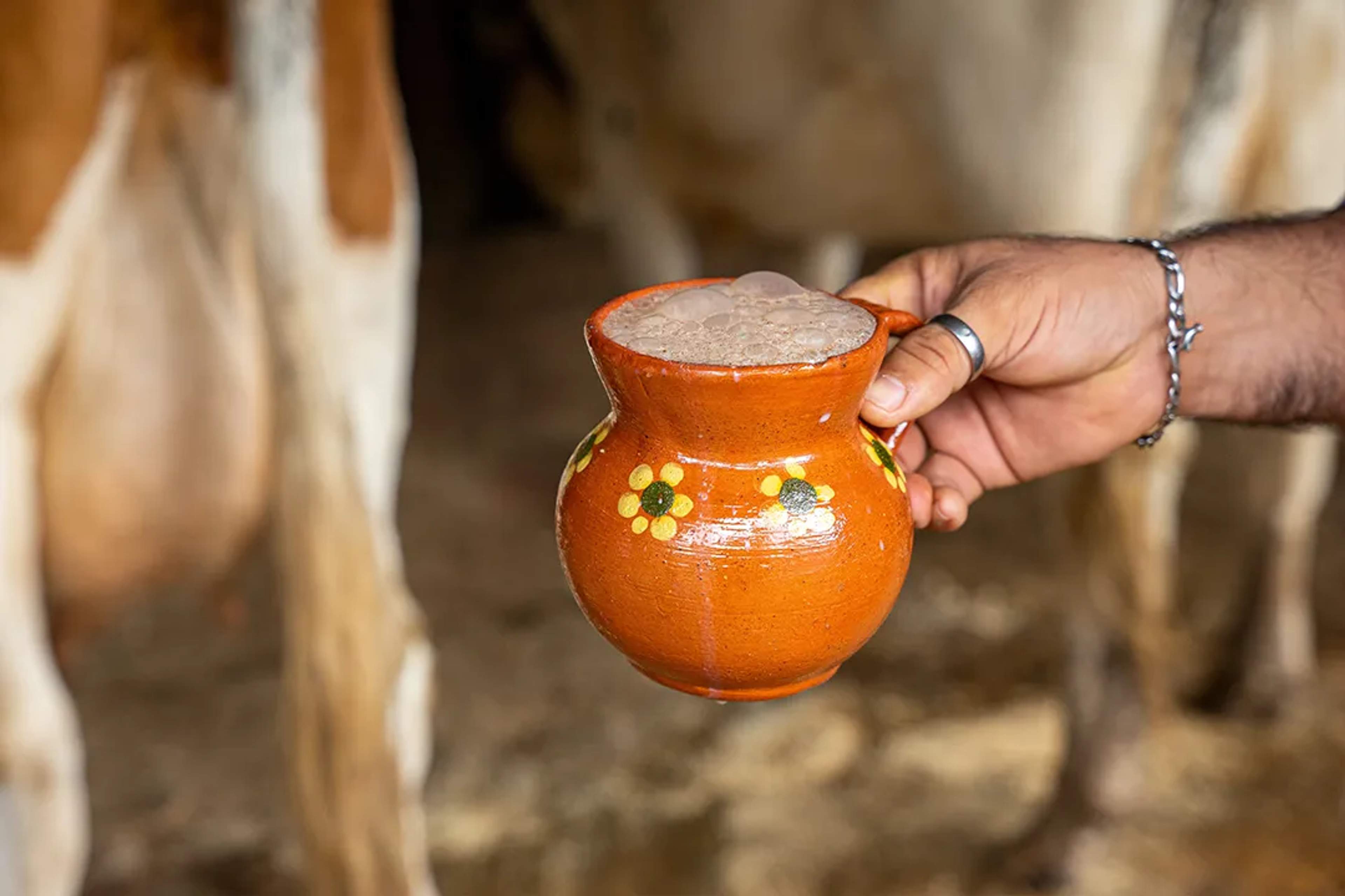 Jarro de barro con espumosa barrosa (pajarete), preparado con leche bronca recién ordeñada.
