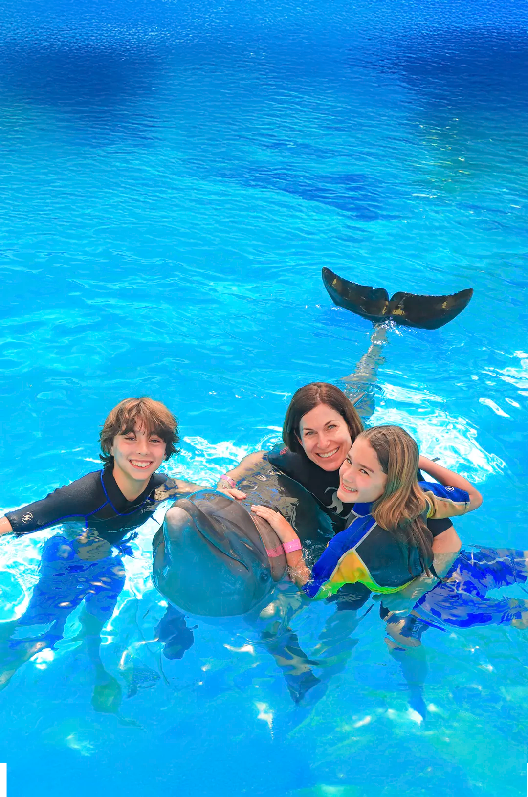 A family in a close encounter with a dolphin in Puerto Vallarta.