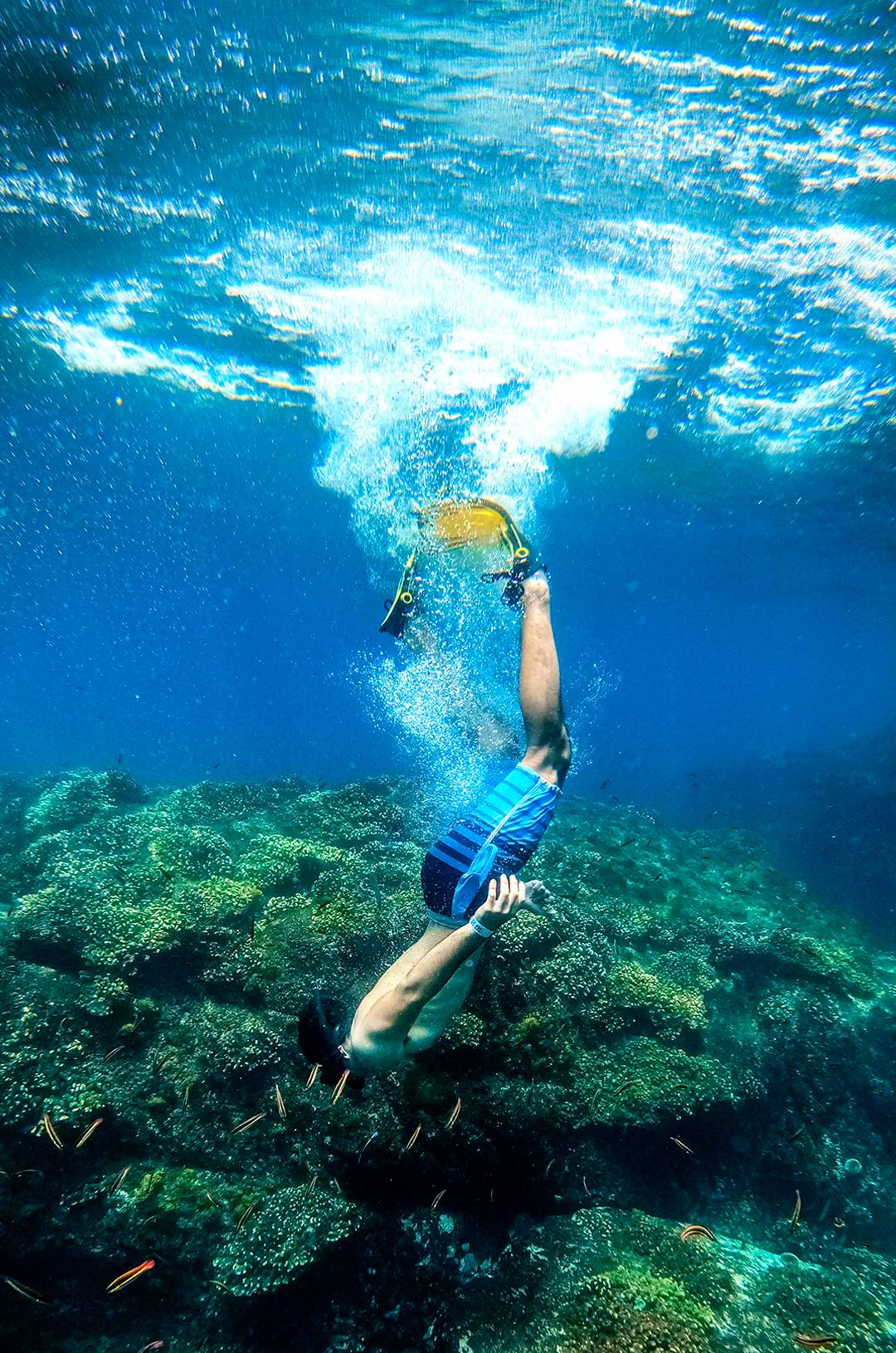 Hombre haciendo snorkel en Majahuitas durante el mejor tour de snorkel en Puerto Vallarta.