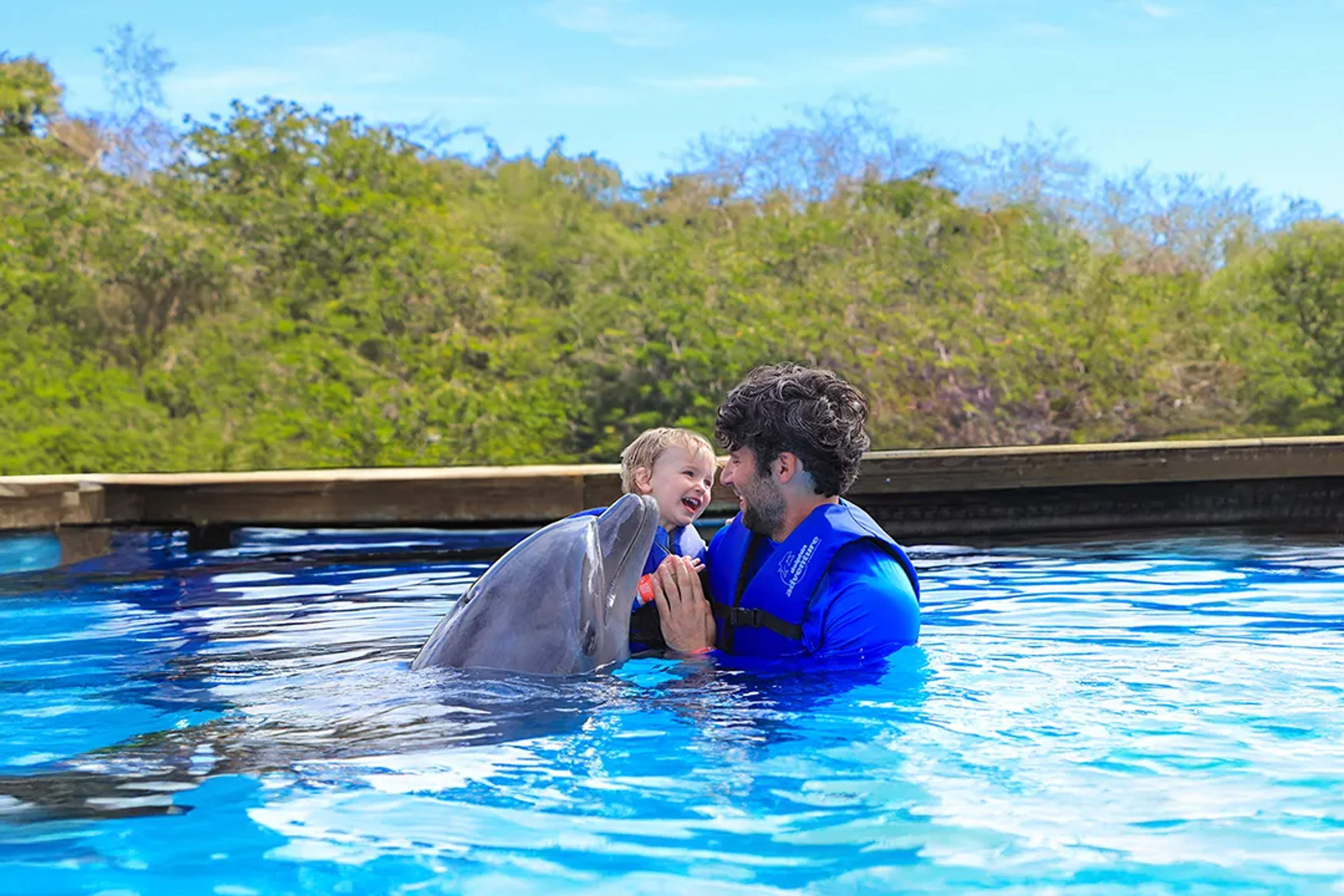 Encuentro familiar con delfines en Puerto Vallarta — padre e hijo interactuando con un delfín en una experiencia segura y divertida.