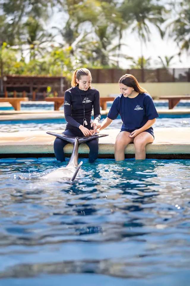 Girl learning how to be a dolphin trainer with the expert guidance of a Marine Mammal Expert in Puerto Vallarta.