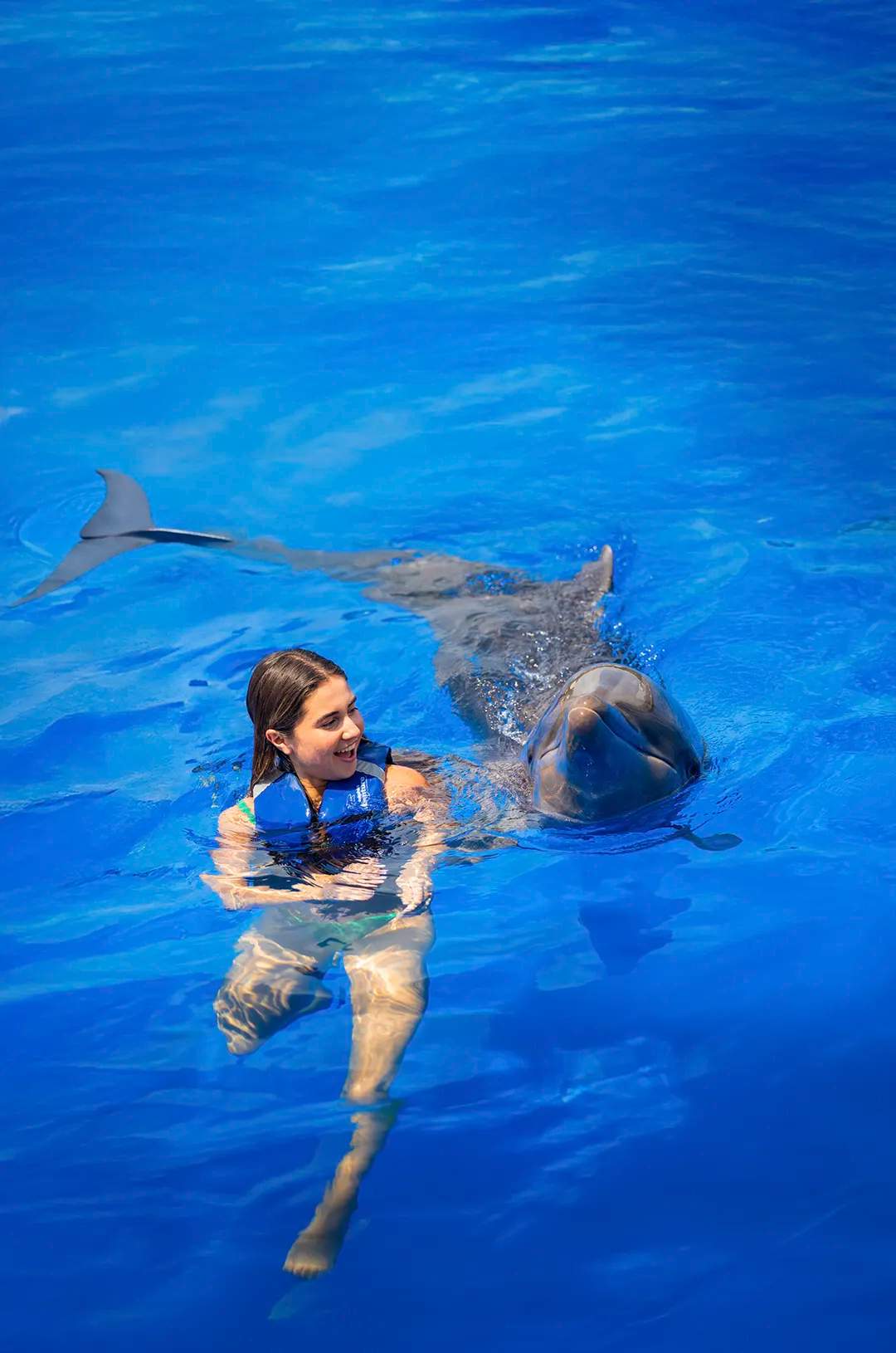 Young lady in a Puerto Vallarta swim with dolphins experience.