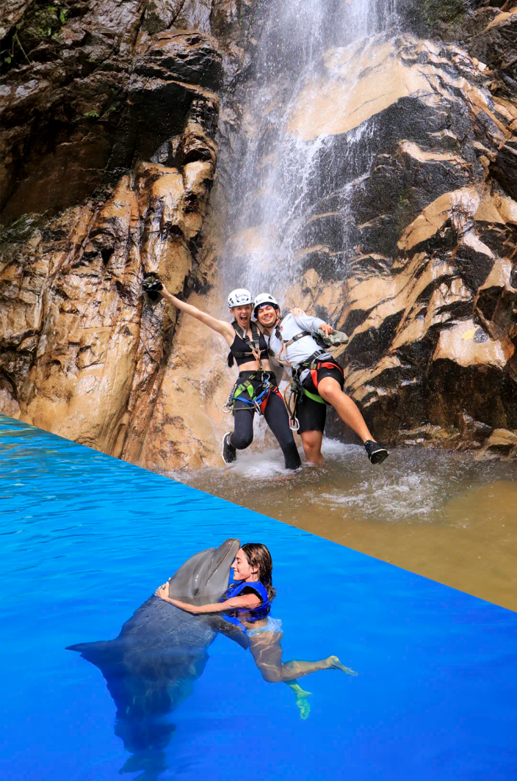 Tour package with Puerto Vallarta dolphins, ziplines and rappel.
