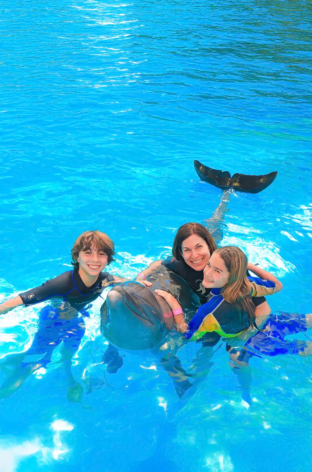 Paquete de Tours combinando dos de las mejores actividades para familias en Puerto Vallarta.