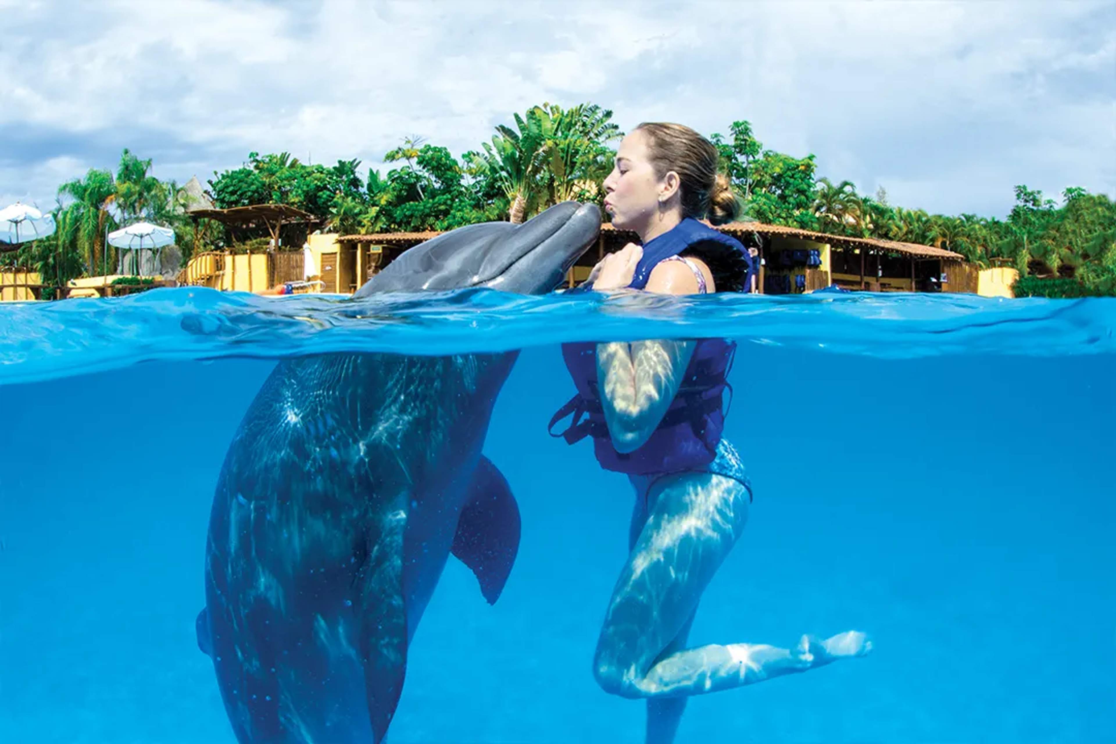 A woman with braids and blue swiming suit is holding and laughing with a dolphin holding him by the fins, in a pool   