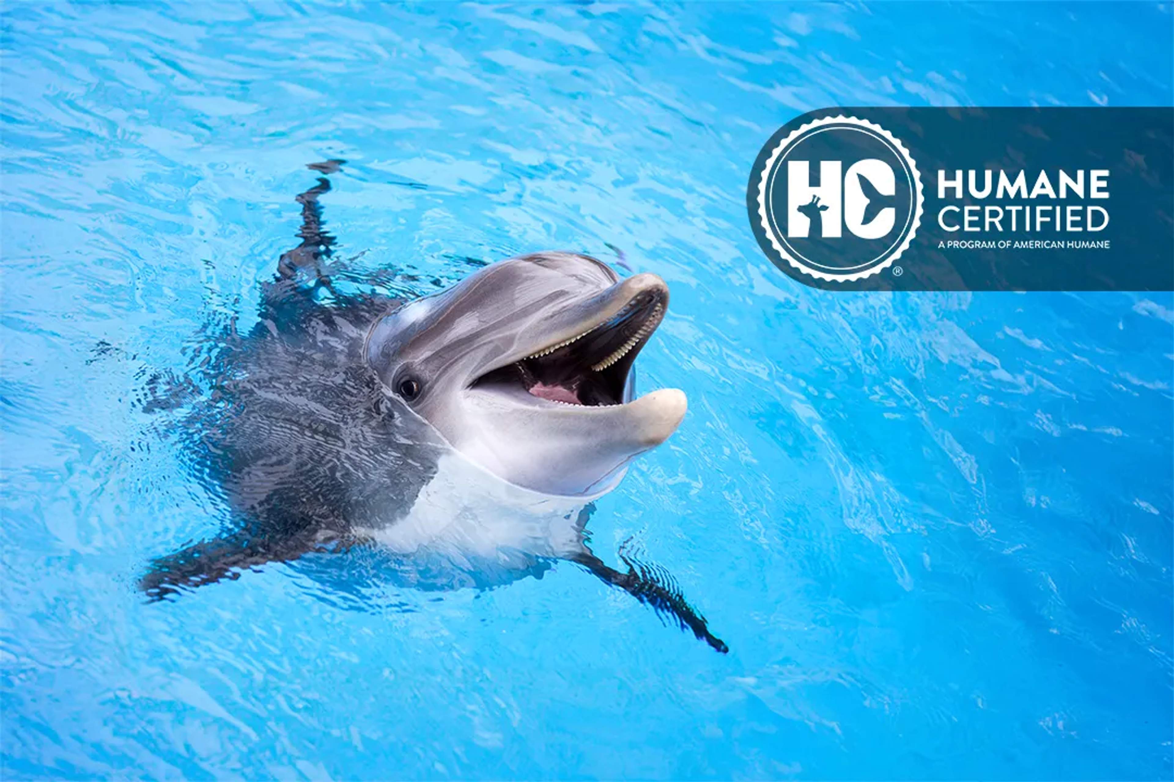 El Centro de Mamíferos Marinos de Vallarta Adventures en Puerto Vallarta cuenta con Certificación Humane por American Humane.