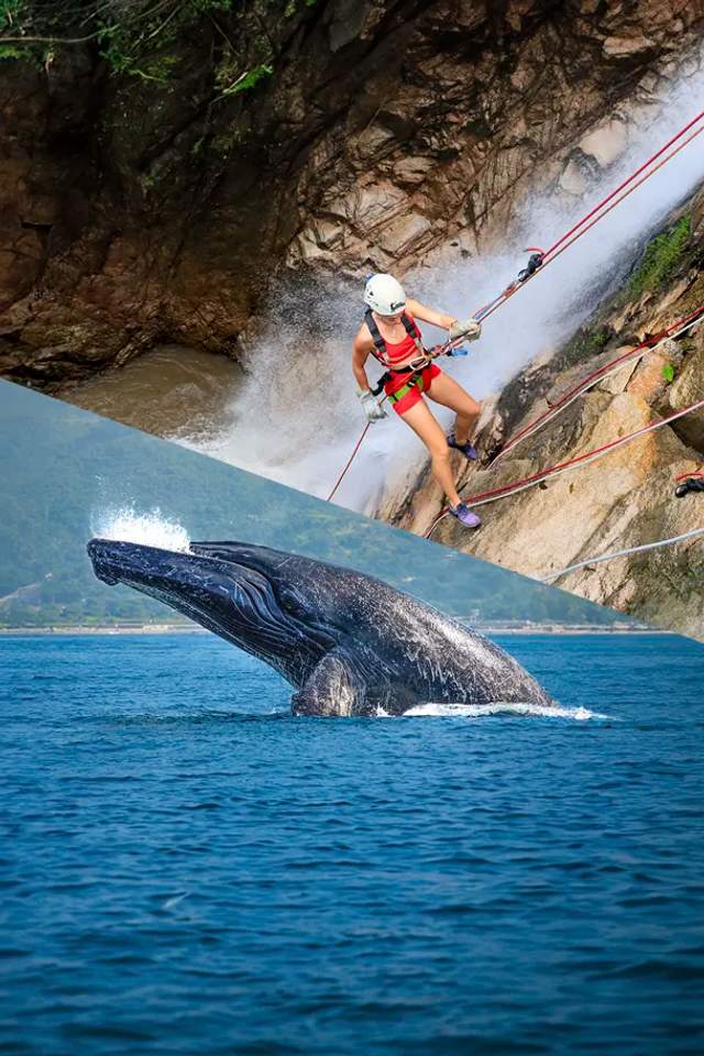 Puerto Vallarta Tour Package with whale watching, plus ziplines and rappel.