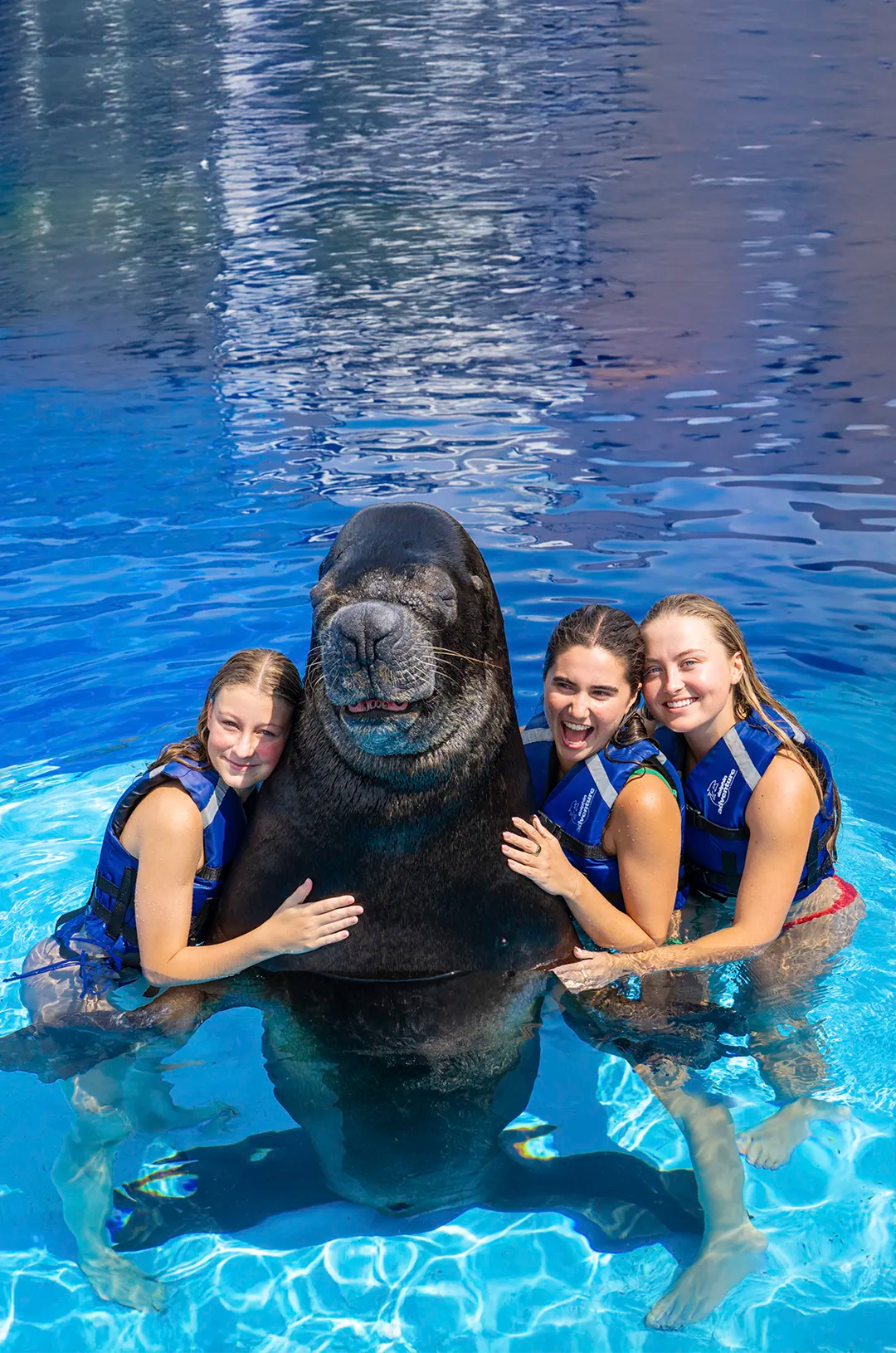 Amigas riéndose y haciendo caras divertidas con un lobo marino en Puerto Vallarta.