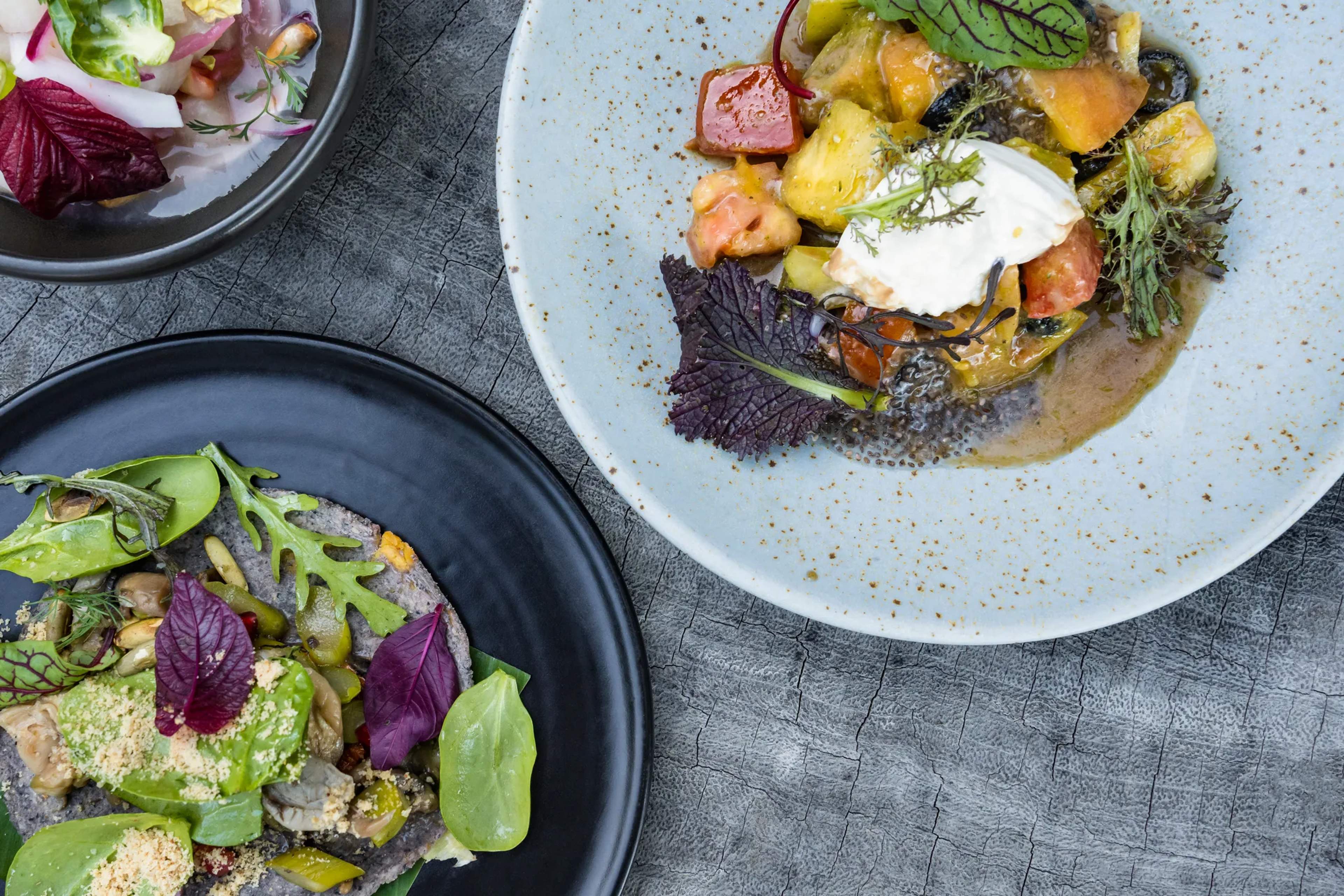 Artfully plated gourmet dishes with roasted vegetables, proteins, and fresh garnishes served on modern tableware.