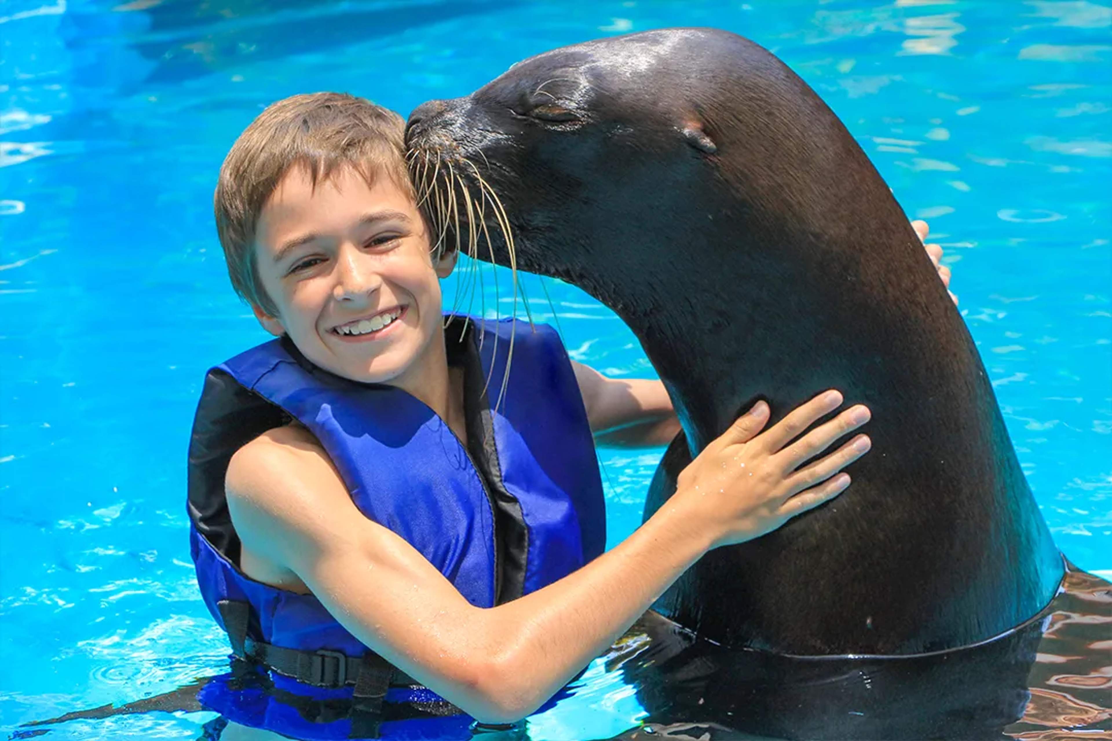 Niño interactuando con un lobo marino en Puerto Vallarta — experiencia familiar con vida marina llena de diversión.