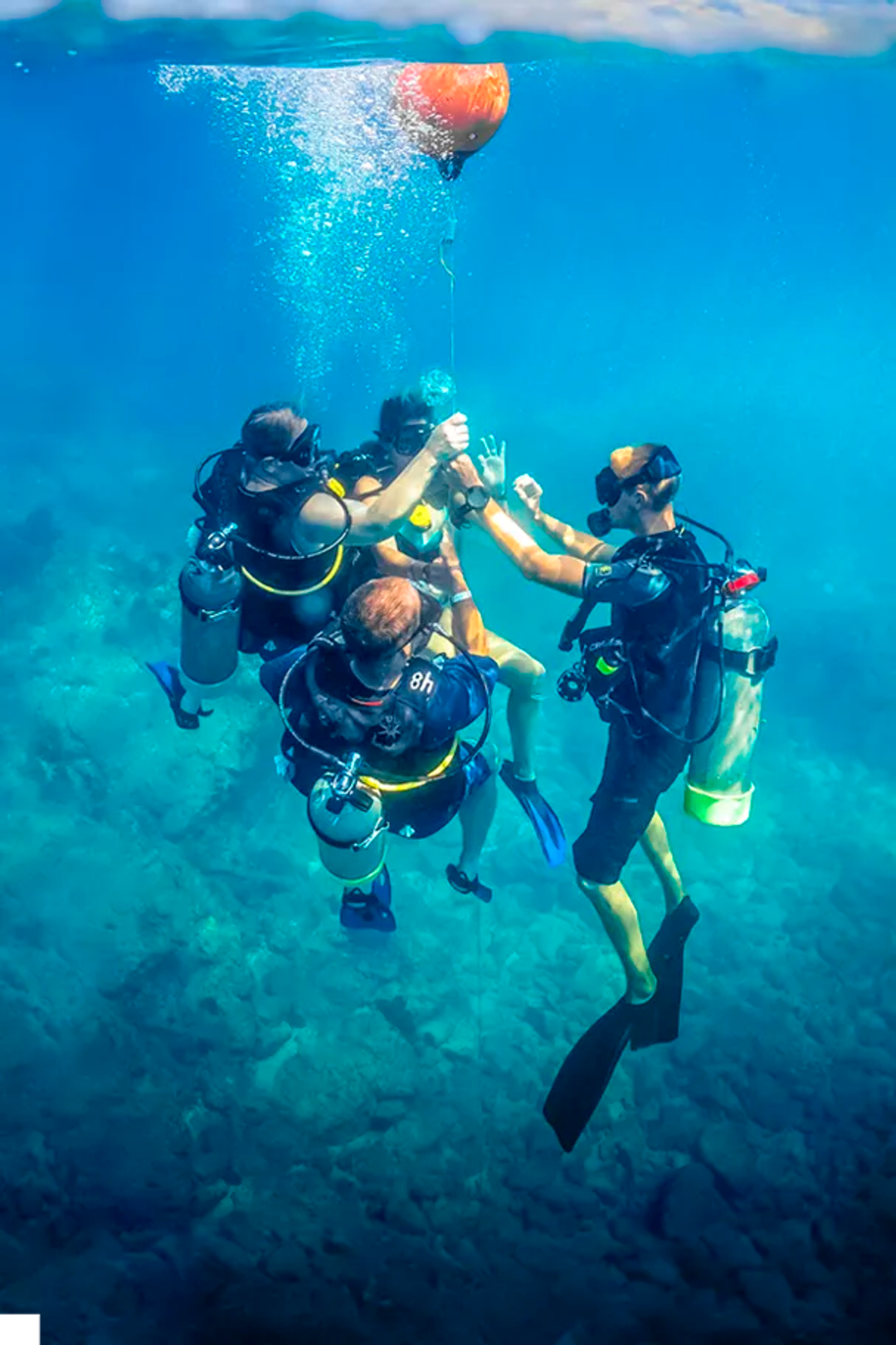 Certificación PADI Scuba Diver, la más popular de las clases de buceo en Puerto Vallarta.