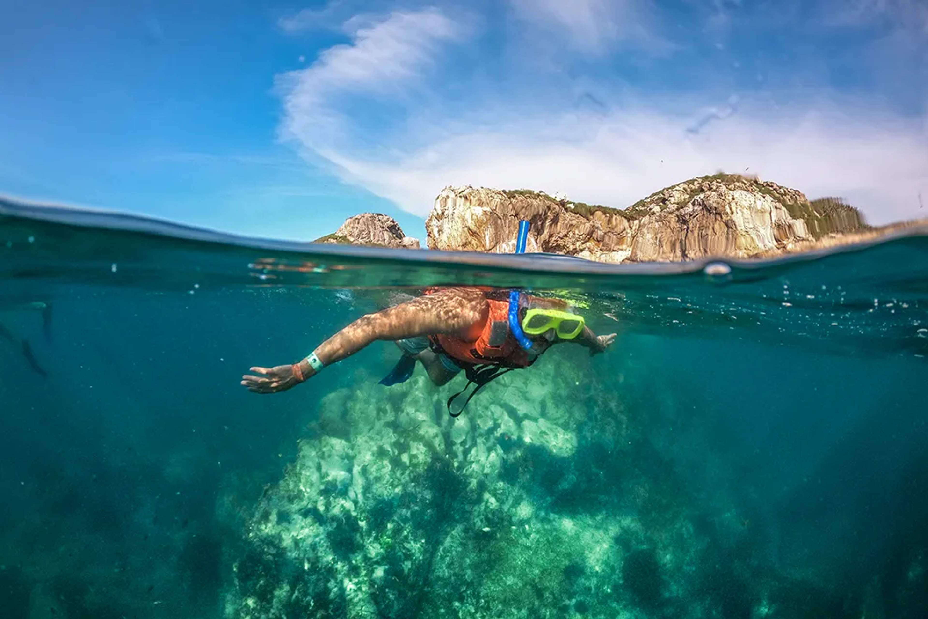 Persona practicando esnórquel en agua cristalina cerca de acantilados, explorando la vida marina.