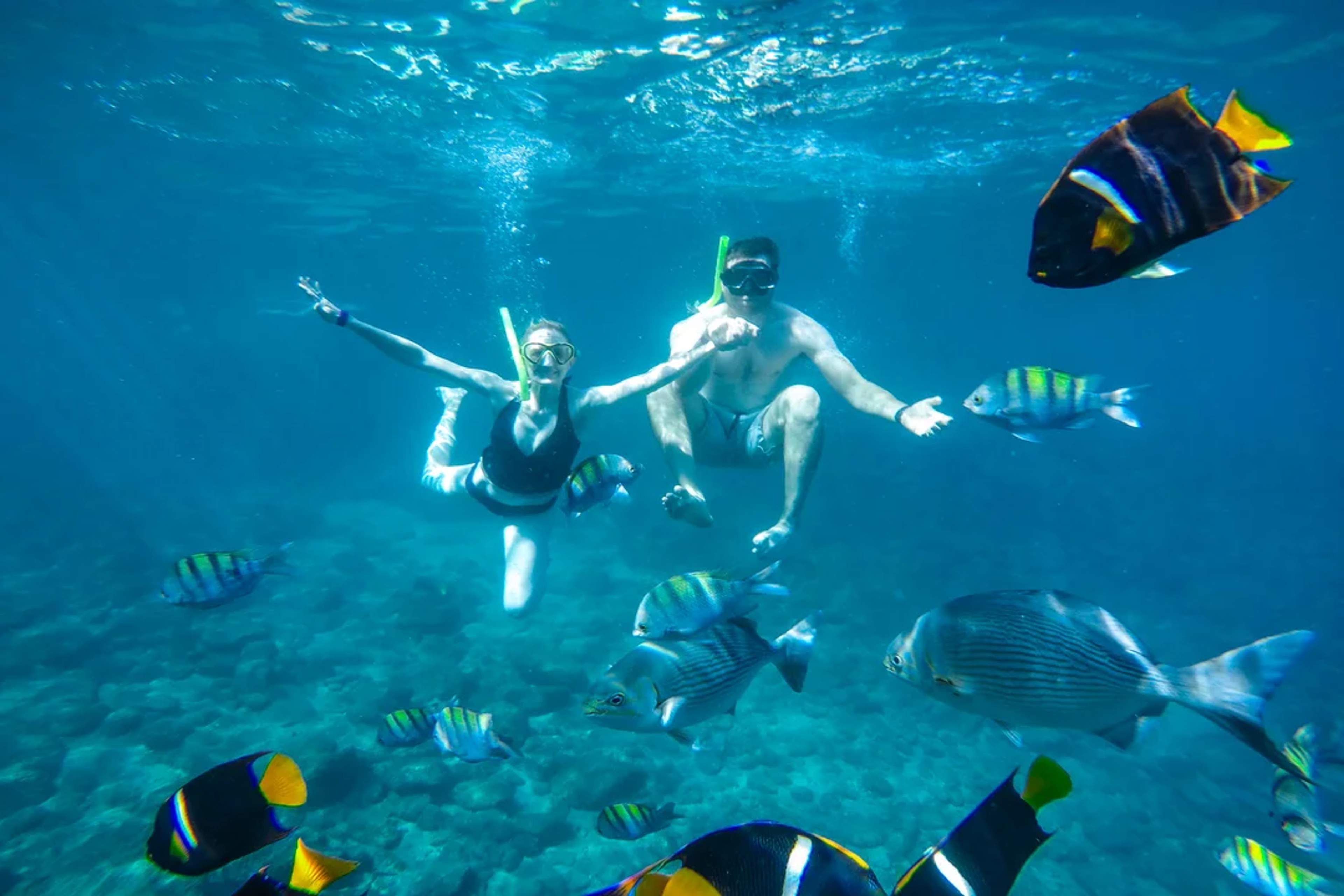 Couple snorkeling in clear blue water surrounded by colorful tropical fish in Puerto Vallarta.