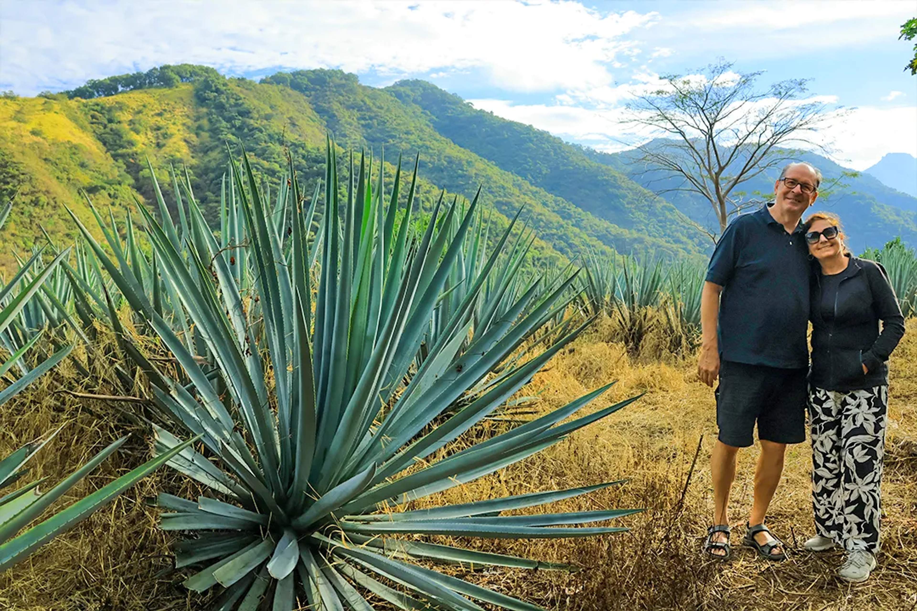 Guests visiting agave fields in Sierra Madre near Puerto Vallarta on tequila and cultural countryside tour