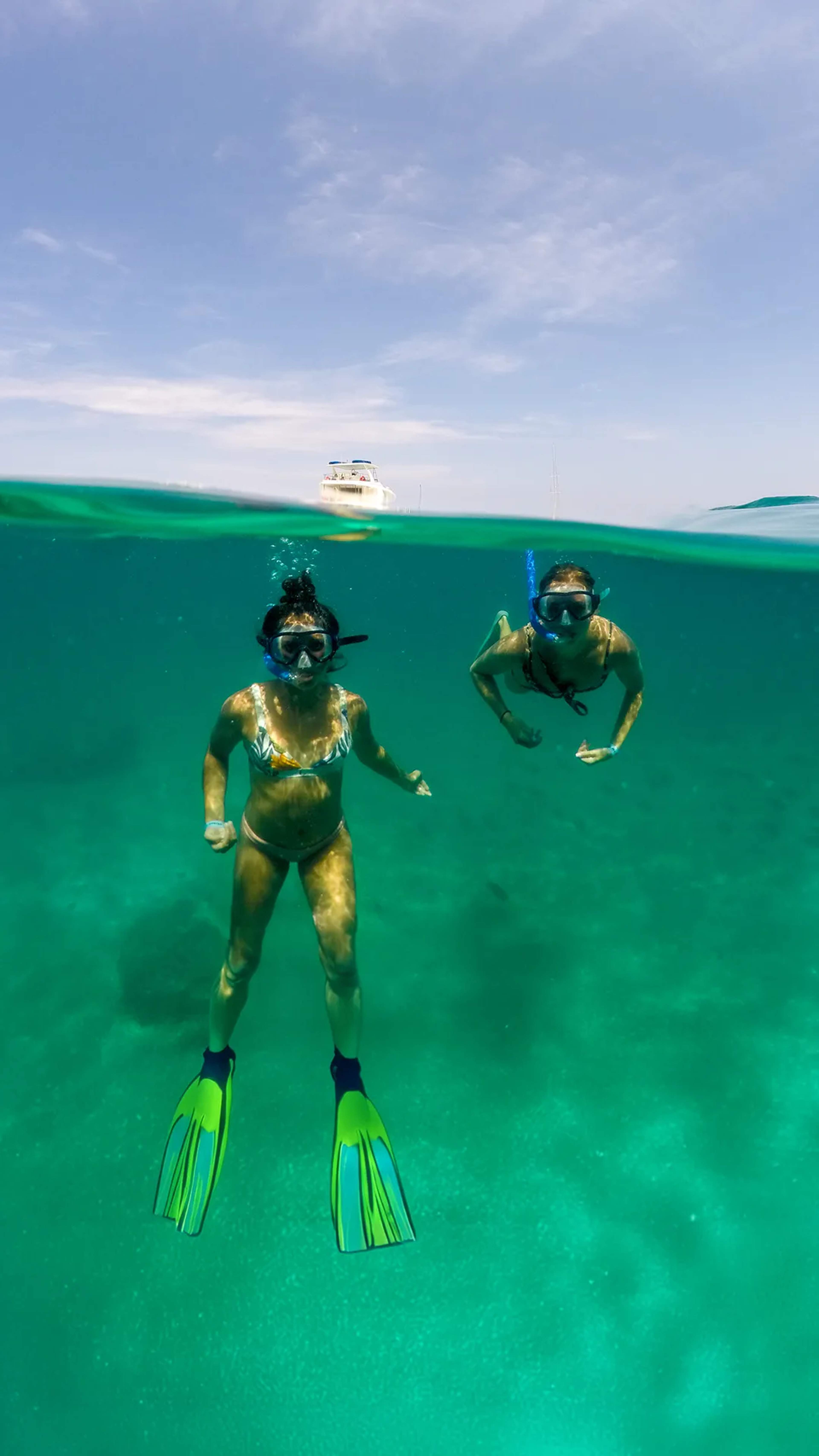 Lee aquí debajo las Políticas de Reservación y Cancelación de Vallarta Adventures.