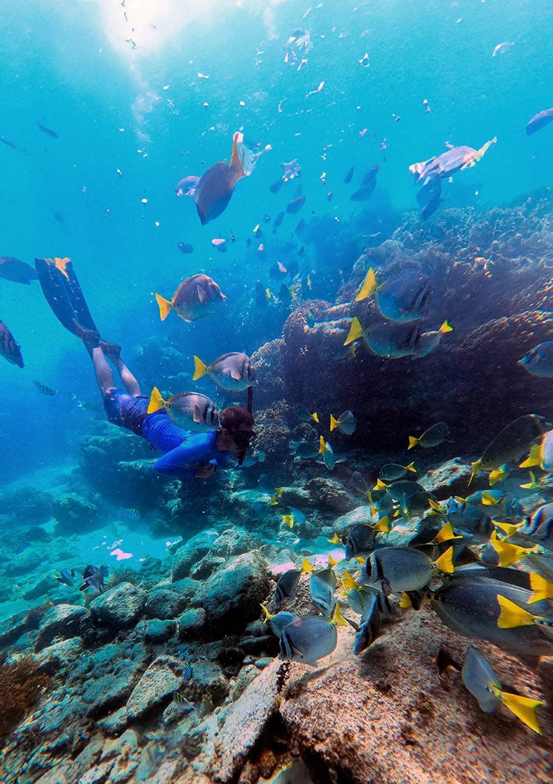 Snorkel in Marietas Islands