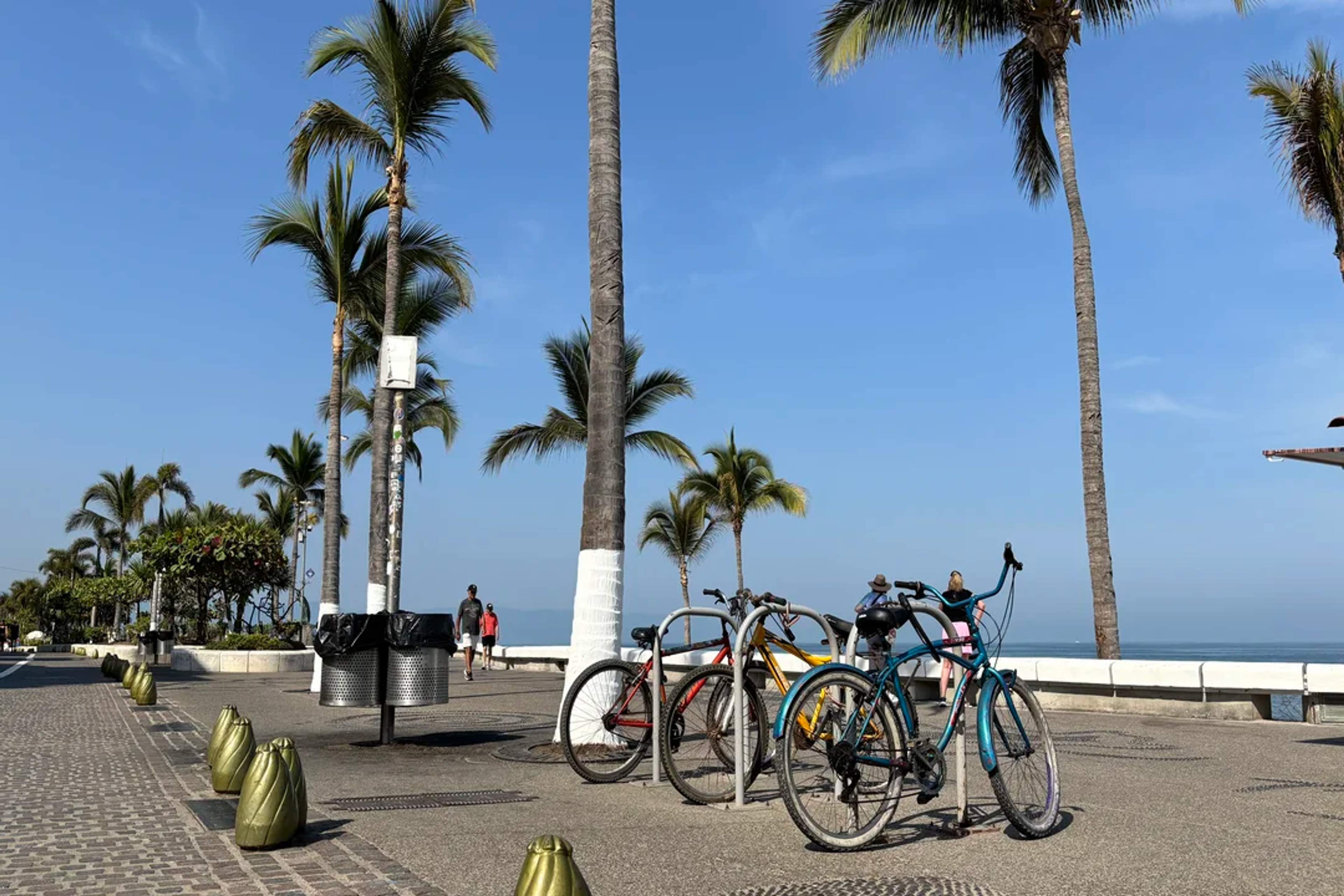 Bicycles parked along the palm-lined Puerto Vallarta Malecón on a sunny coastal morning.
