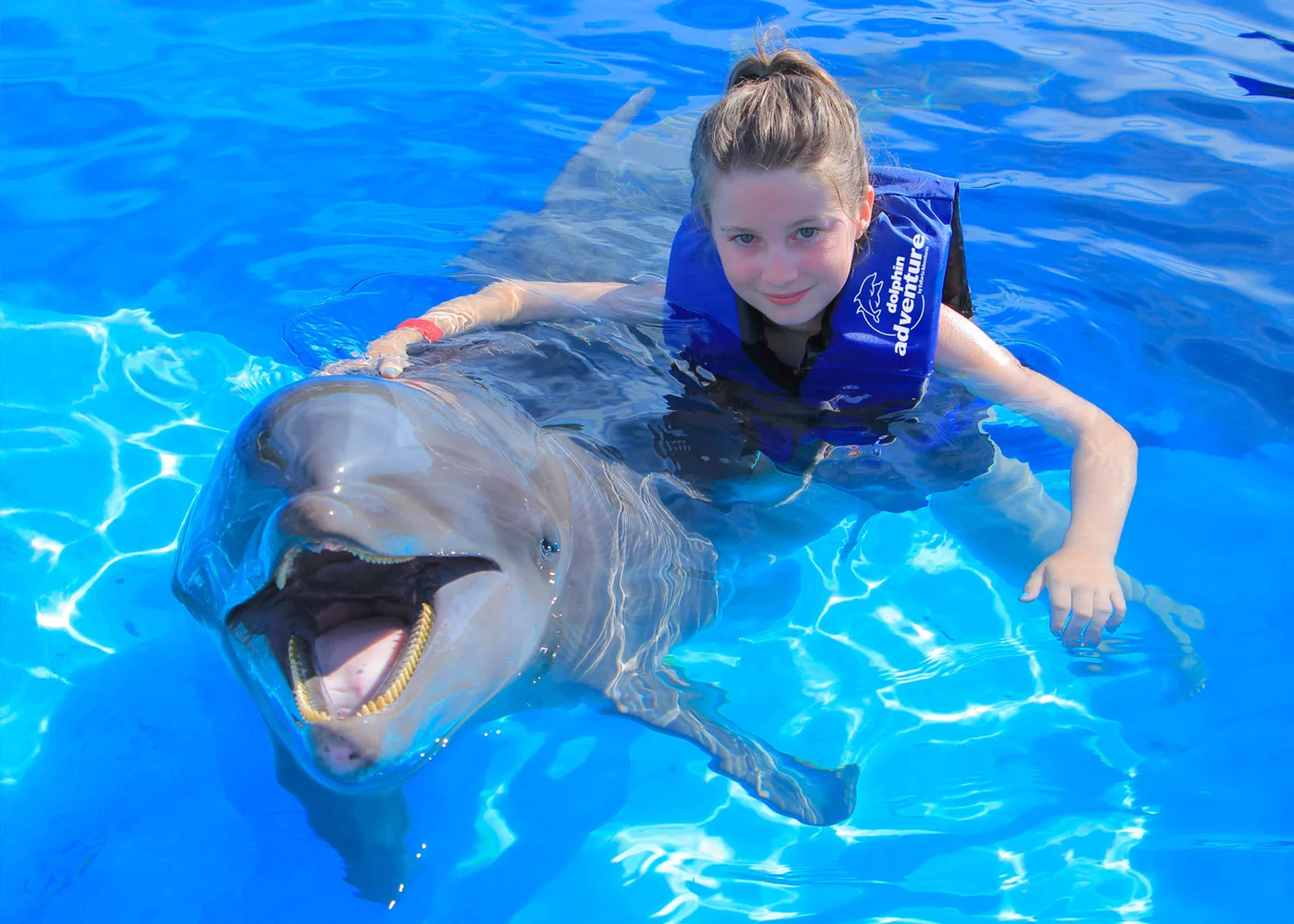 A smiling girl wearing a blue life vest labeled "dolphin adventure" hugs a dolphin in a bright blue swimming pool, with the dolphin's mouth open in a friendly gesture.