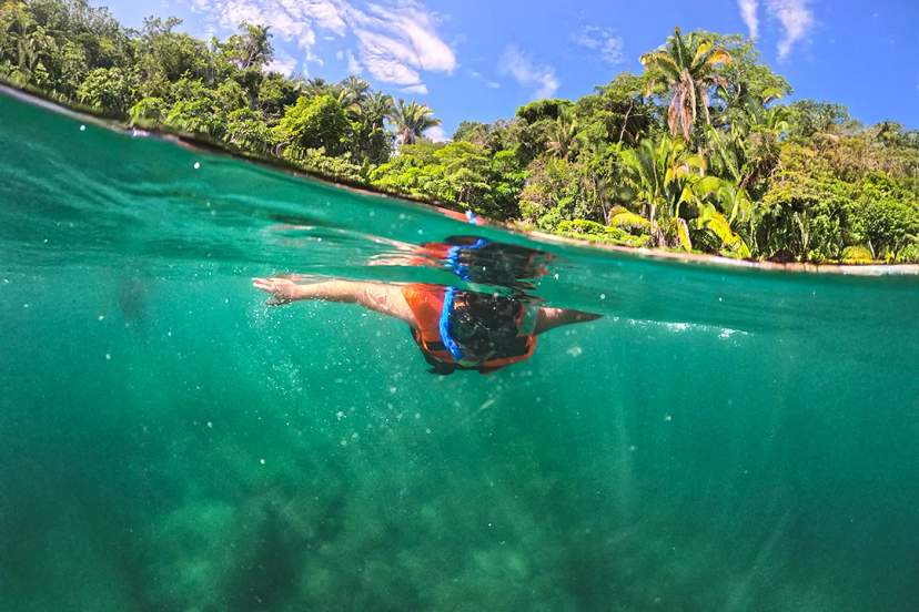 Snorkeling in emerald waters Puerto Vallarta jungle coastline, guided marine tour and tropical nature.