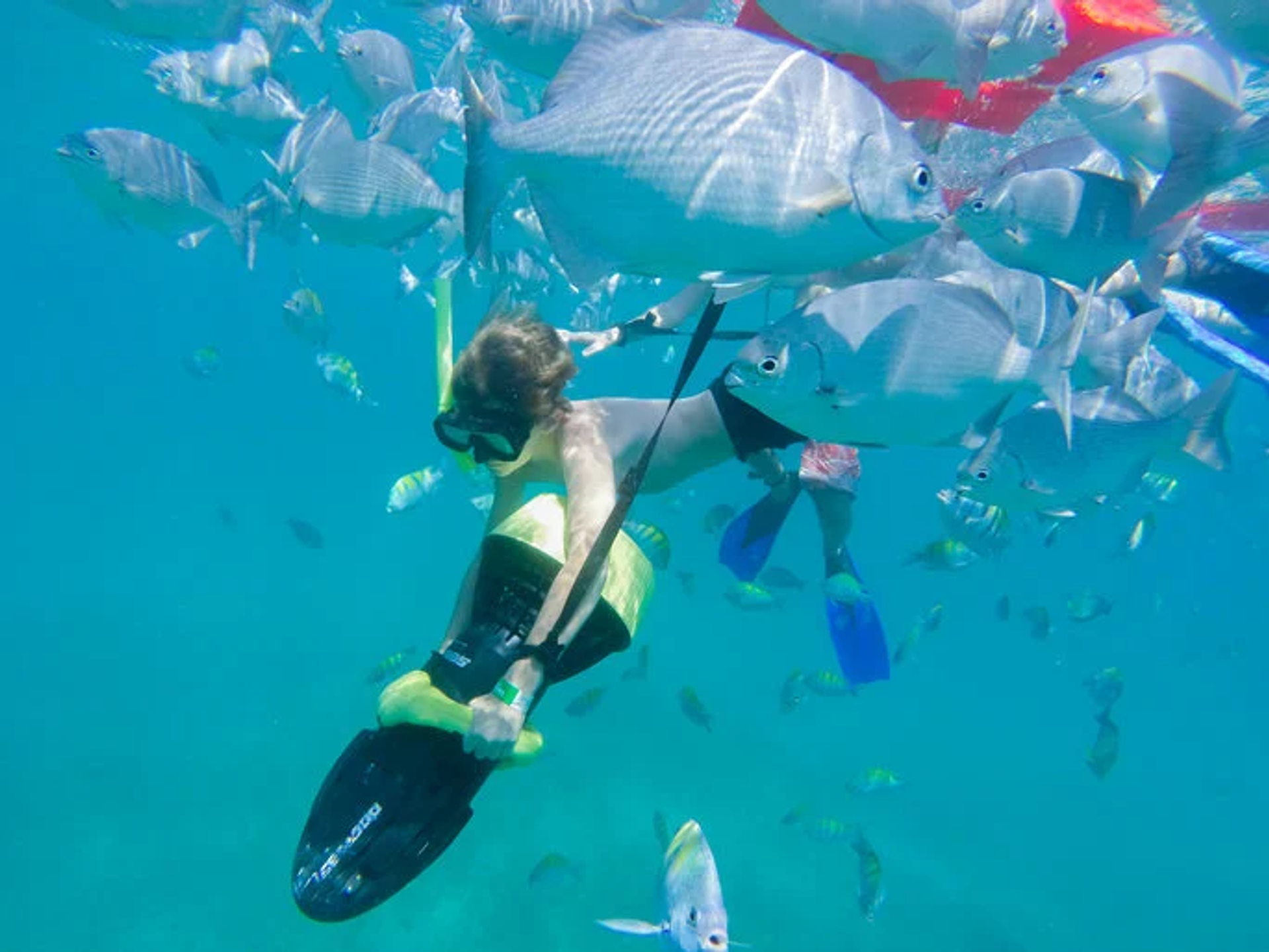 Un buceador usando un scooter submarino mientras nada entre un banco de peces en agua azul clara. La persona lleva una máscara, snorkel y aletas, rodeada de numerosos peces plateados.