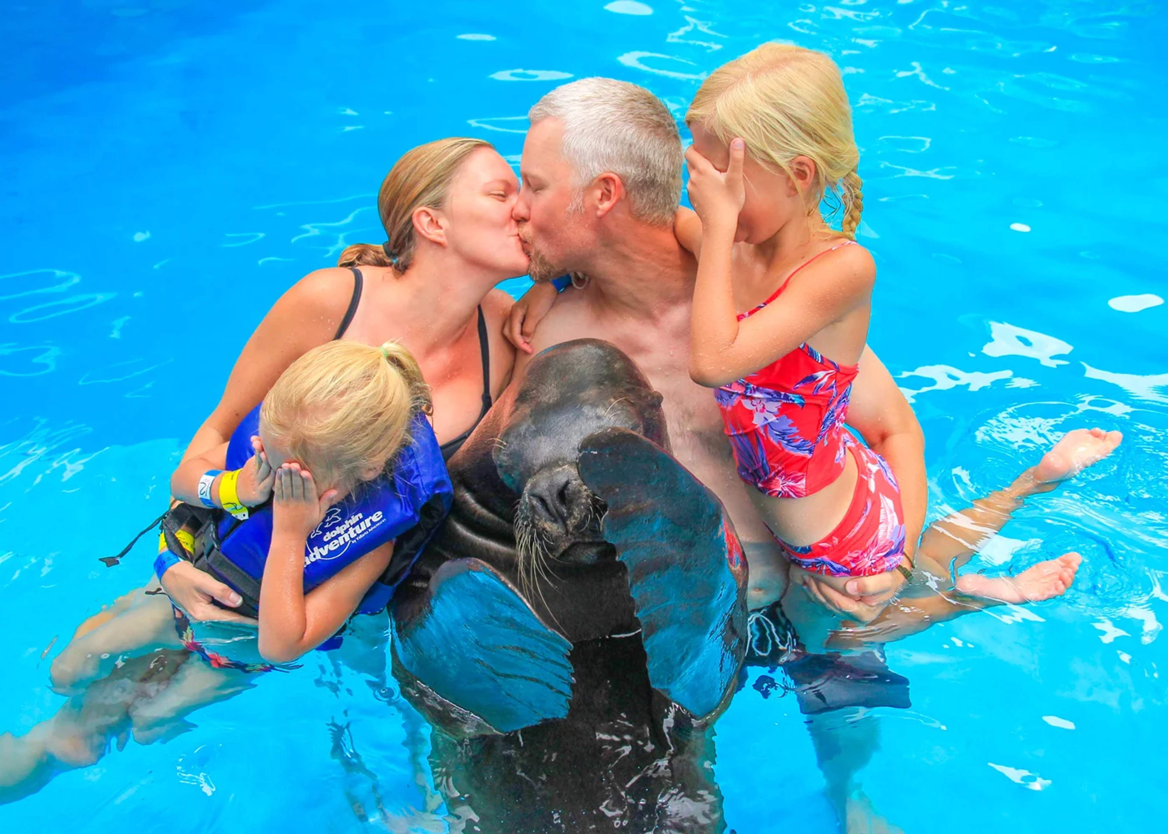 Una familia disfruta de un momento divertido con un león marino en Puerto Vallarta, creando recuerdos inolvidables de vacaciones juntos.