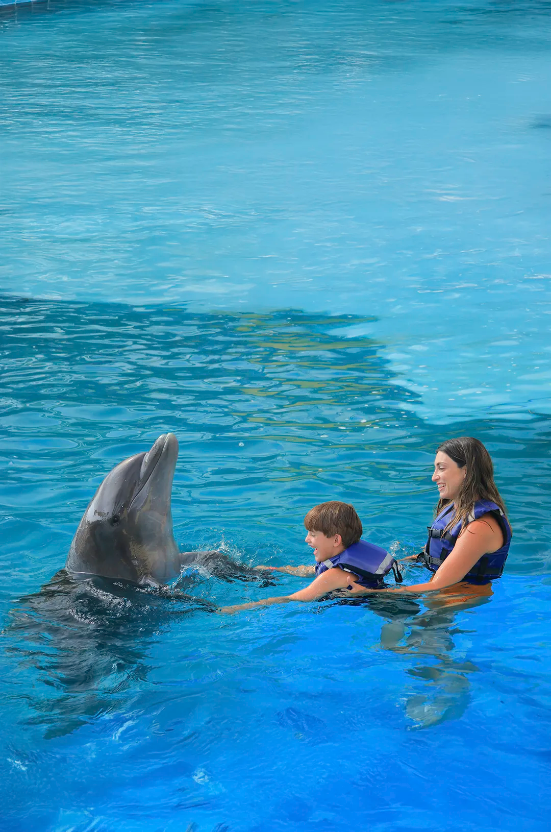 Children enjoying a fun Puerto Vallarta dolphin ride.