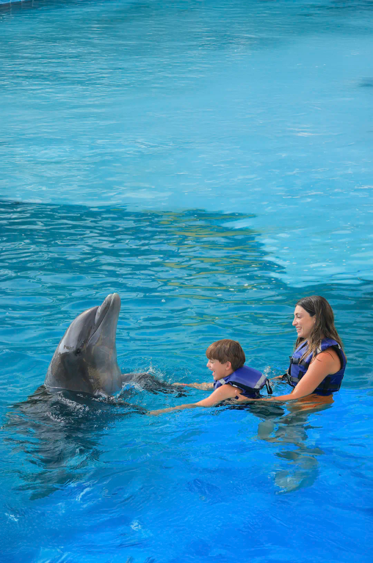 Children enjoying a fun Puerto Vallarta dolphin ride.