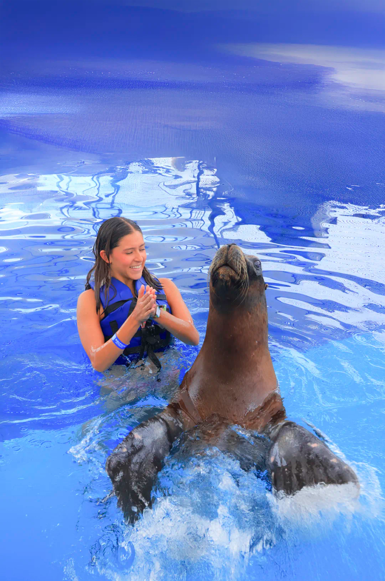 Niña jugando con un logo marino en el mejor Centro de Mamíferos Marinos en Puerto Vallarta.