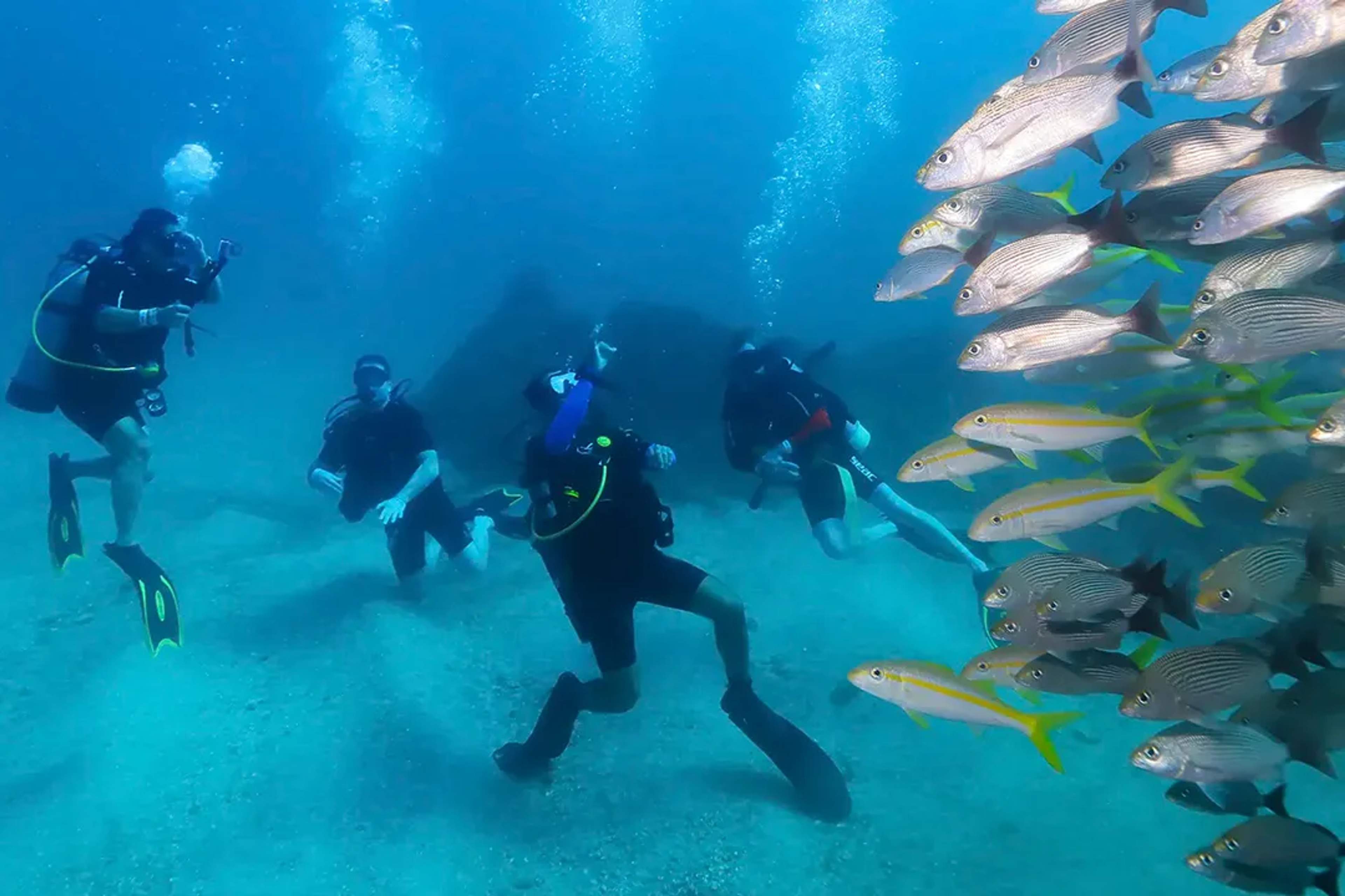 Scuba refresher dive in Puerto Vallarta with group of divers exploring reef and tropical fish
