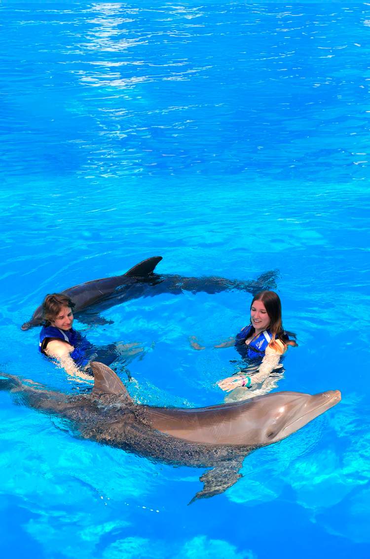 Un pareja jugando con delfines en Puerto Vallarta.