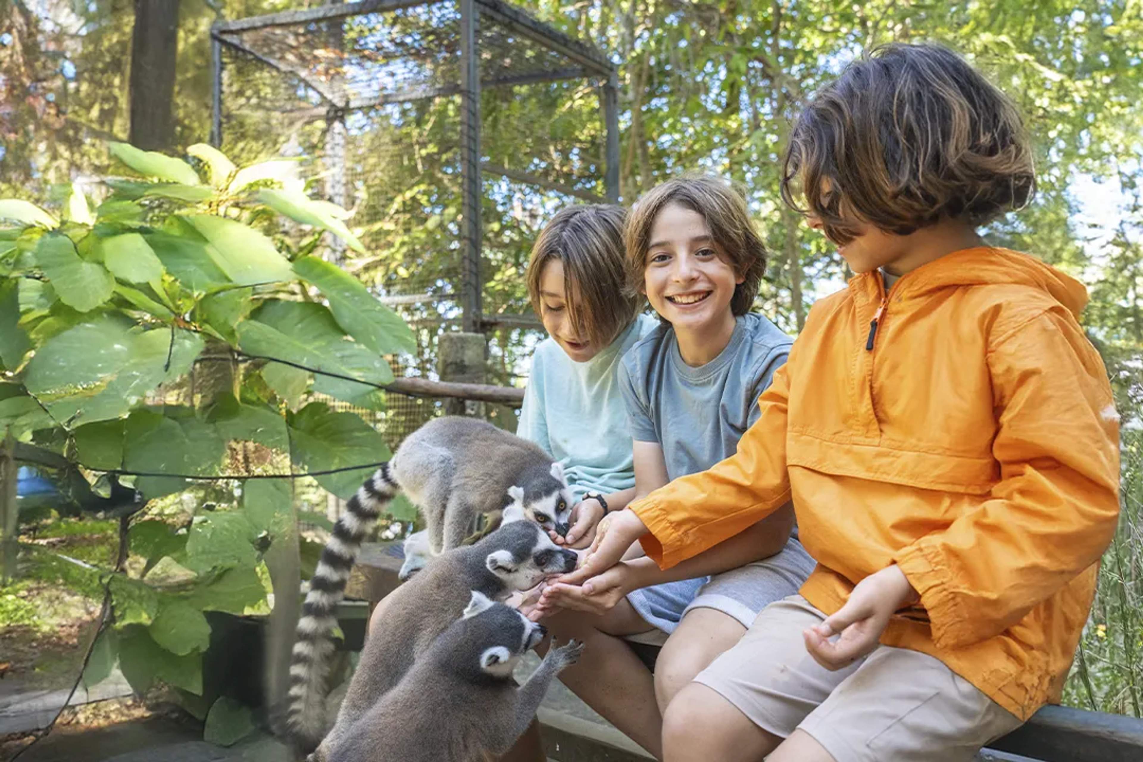 Three children smile as they interact with friendly lemurs in a lush, green wildlife sanctuary.