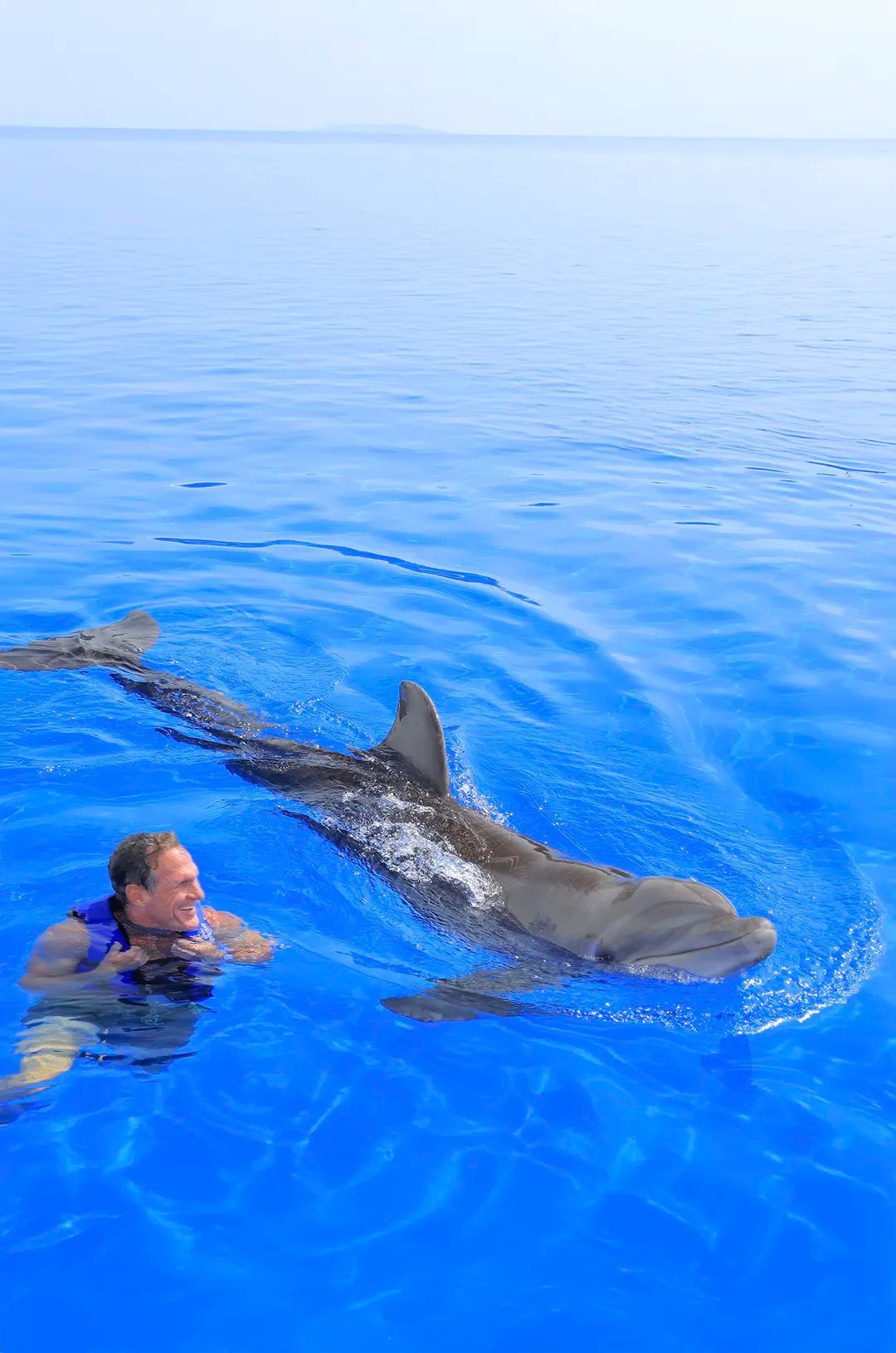 Hombre nadando con delfines en Puerto Vallarta.