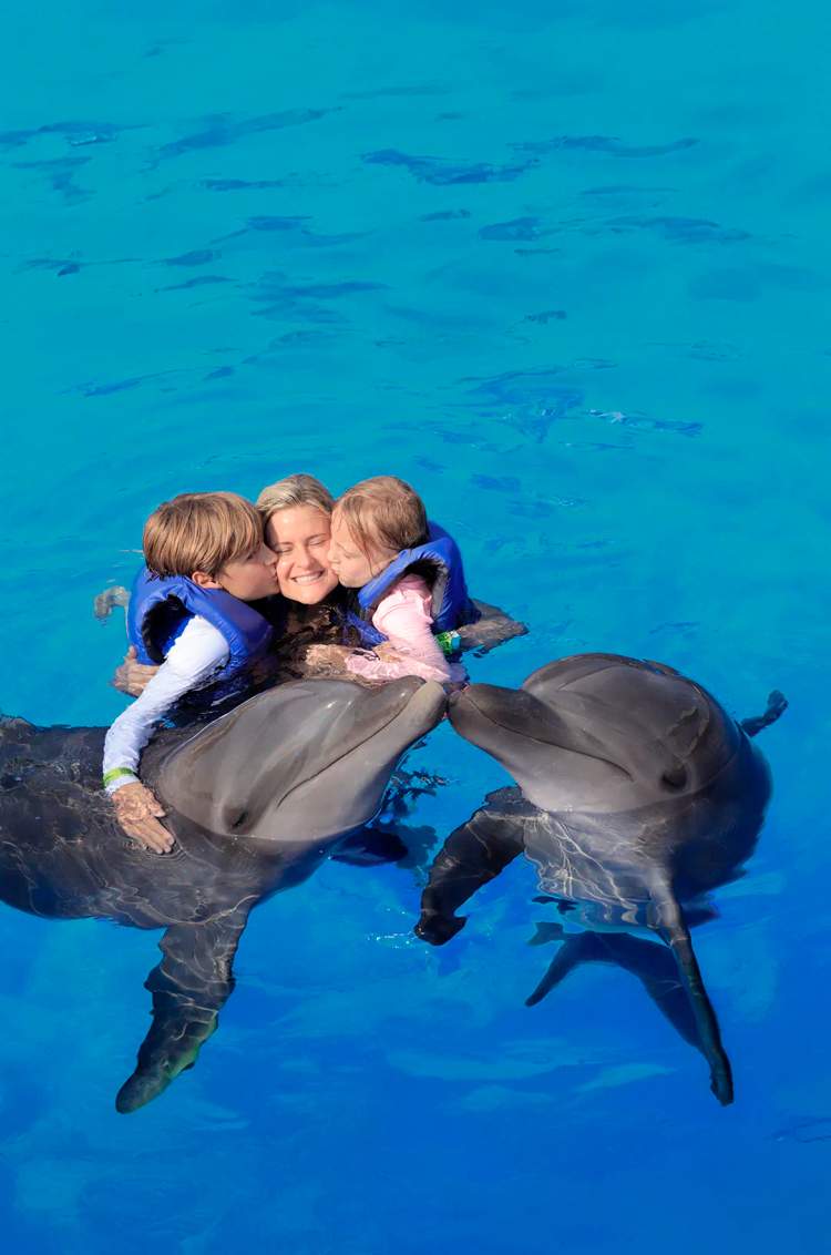 Family enjoying a dolphin swim at Dolphin Adventure's Marine Mammal Center in Puerto Vallarta.