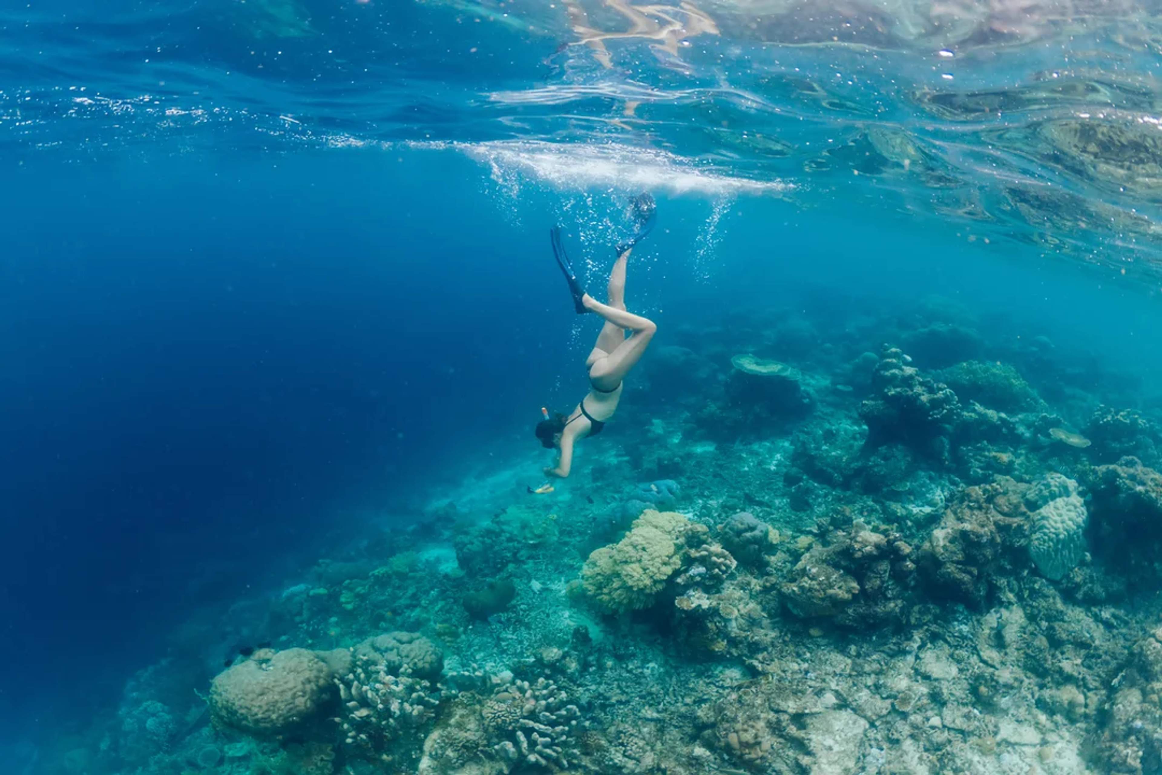 Woman free dives over a colorful coral reef in clear blue ocean waters.