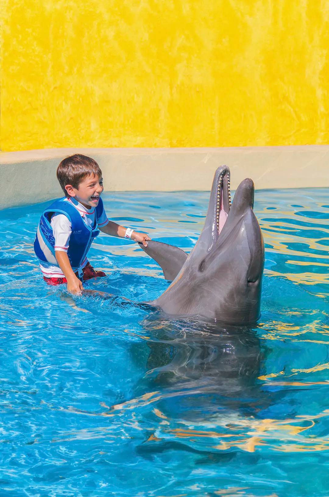 Young boy enjoying one of the most fun things to do with kids in Puerto Vallarta.