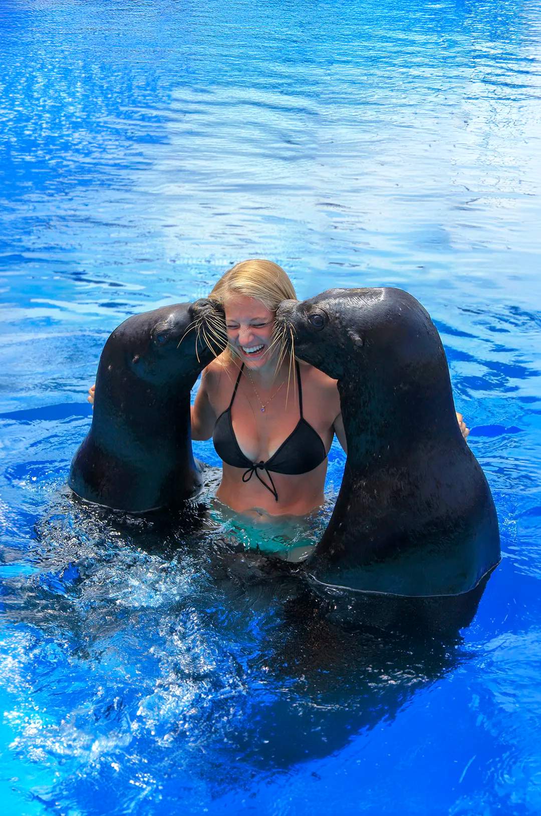 Girl in a Puerto Vallarta sea lion encounter.