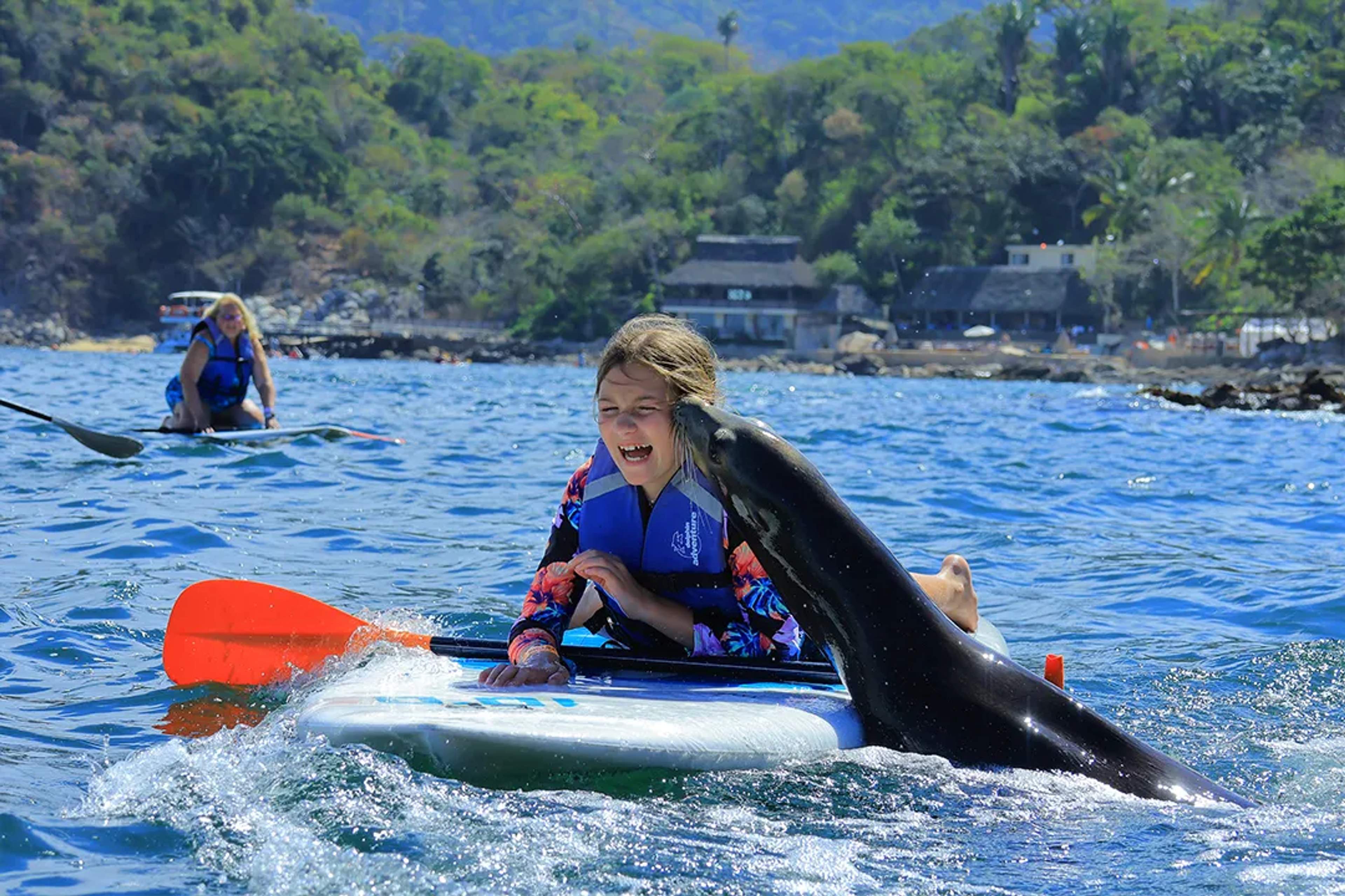 Girl paddleboarding in Puerto Vallarta receiving a playful sea lion kiss during the Ocean Mania tour